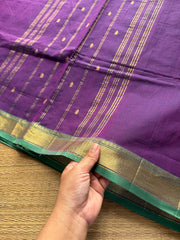 Purple with green combination small border Kanchi cotton saree with handmade golden Zari Buttas