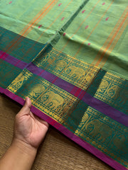 RF1326 Dual tone Apple green shade ~ Kanchi cotton Rettapet border saree