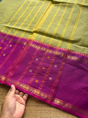 Dual tone Apple green shade Vintage Border Kanchi Cotton Saree With kattam / checks pattern & handwoven Buttas on the border