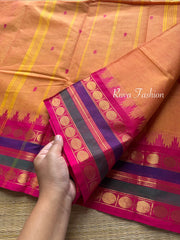 Dual tone mango shade l Kanchi Cotton Saree With Contrast & unique multi color border with small Thazhampoo pattern