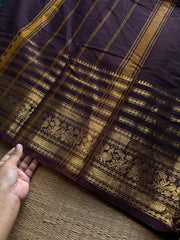 RF1414 Monotone deep coffee brown Varisaipet border Kanchi cotton saree