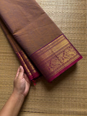 Dual shade Kanchi cotton saree ~ Silk Saree Inspired
