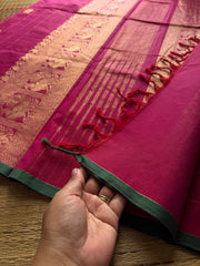 RF819 Magenta pink & Green Combination Premium Kanchi cotton saree with golden Zari checks pattern & Annam Buttas and intricate Zari woven Pallu
