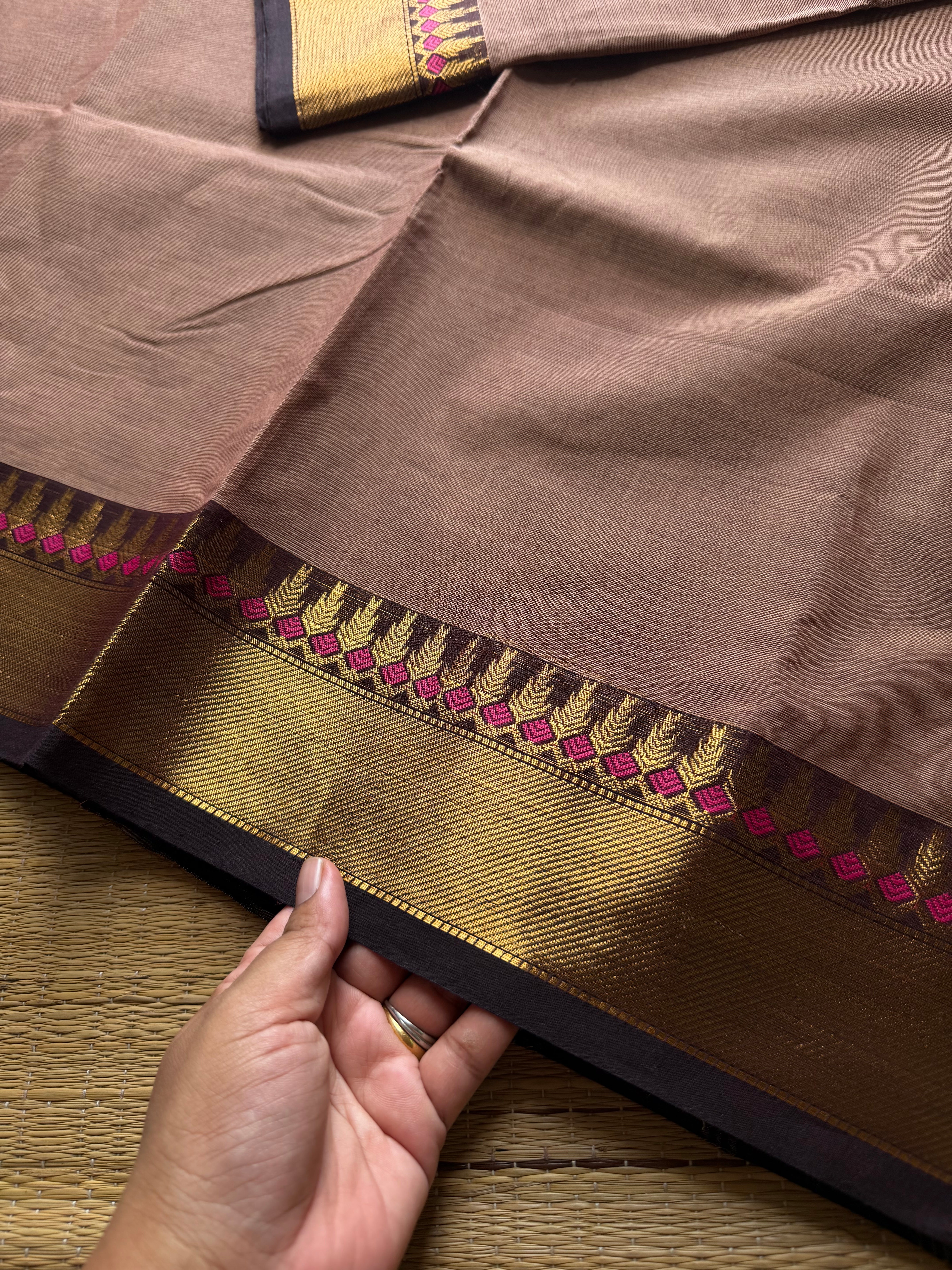 Biscuit shade Kanchi cotton saree ~ Silk Saree Inspired