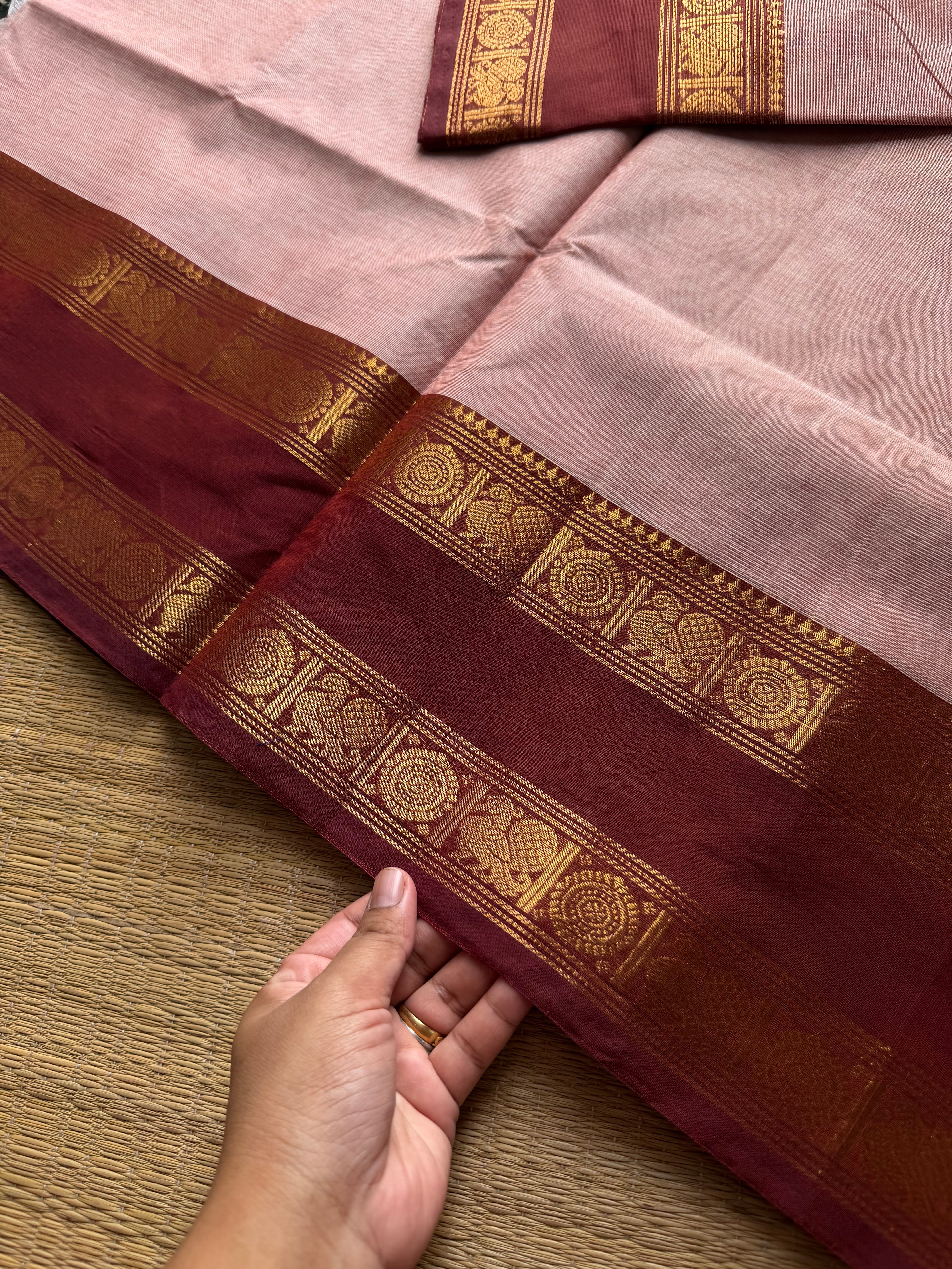 RF1097 Beige shade ~ Gap Border Kanchi Cotton saree