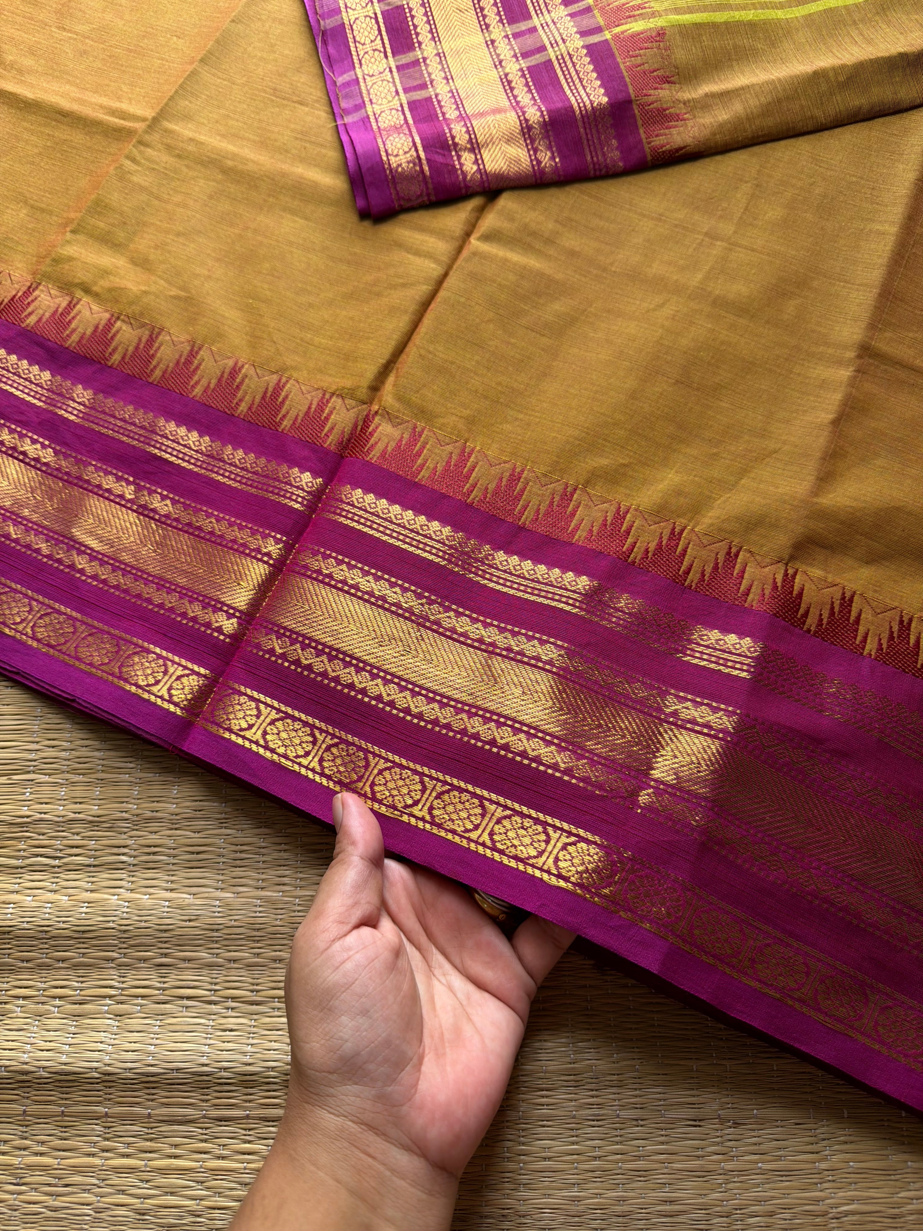 RF686 Thazhampoo border Kanchi cotton saree ~ Dual tone mustard