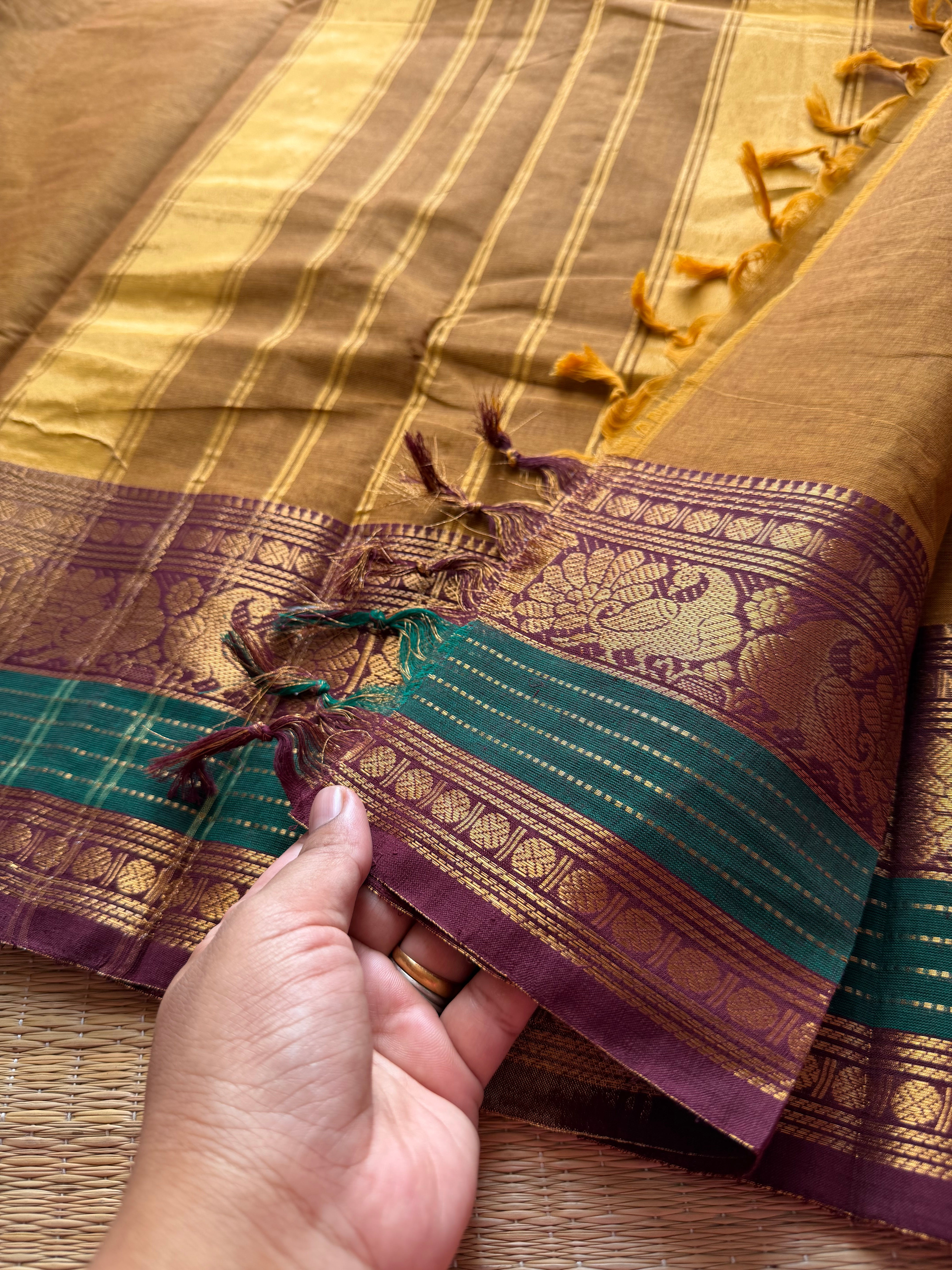 RF179 Mustard with contrast brown and green peacock pattern Kanchi cotton saree