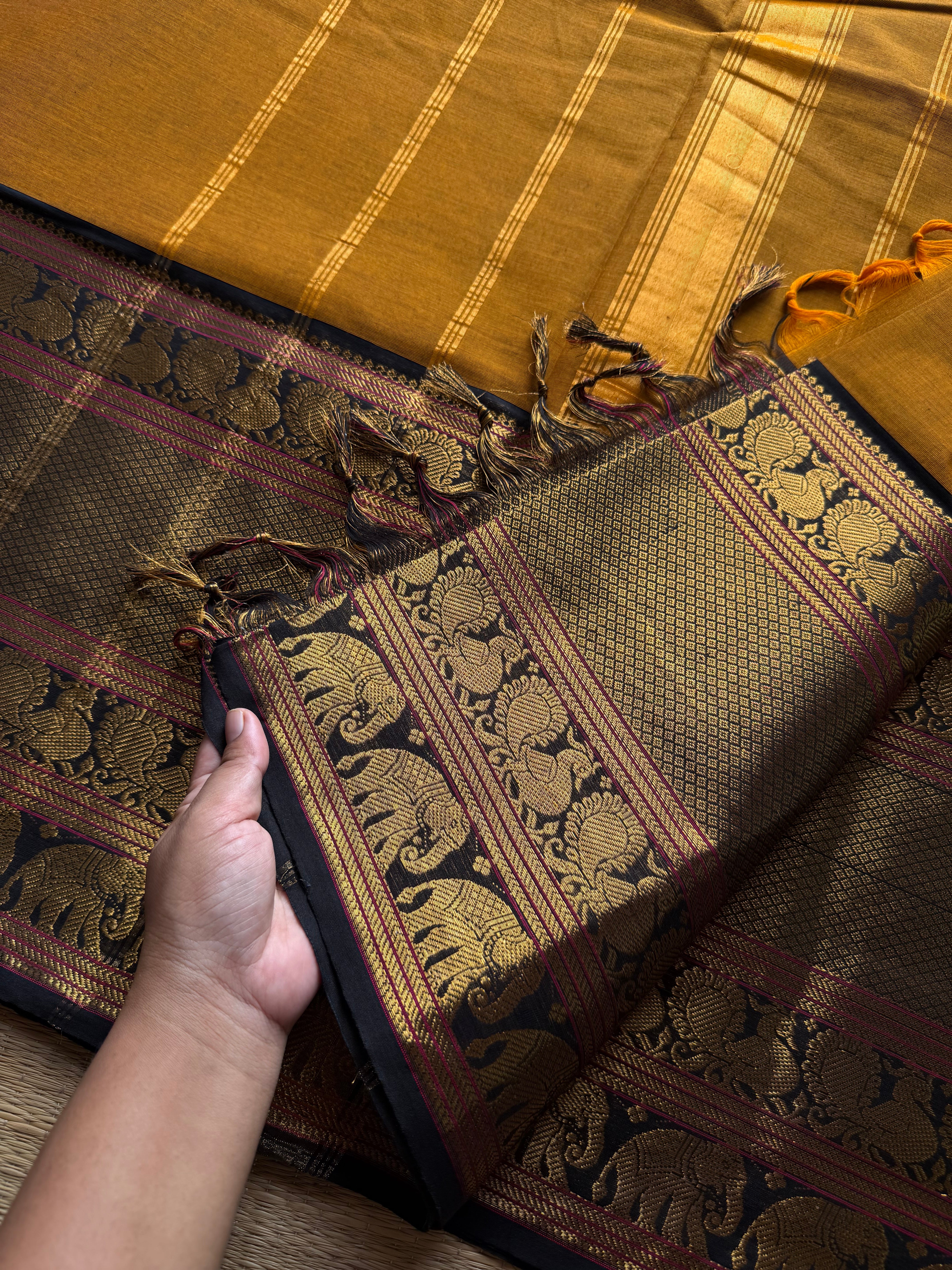 RF1191 Mustard with black ~ Long / Big border Kanchi cotton saree