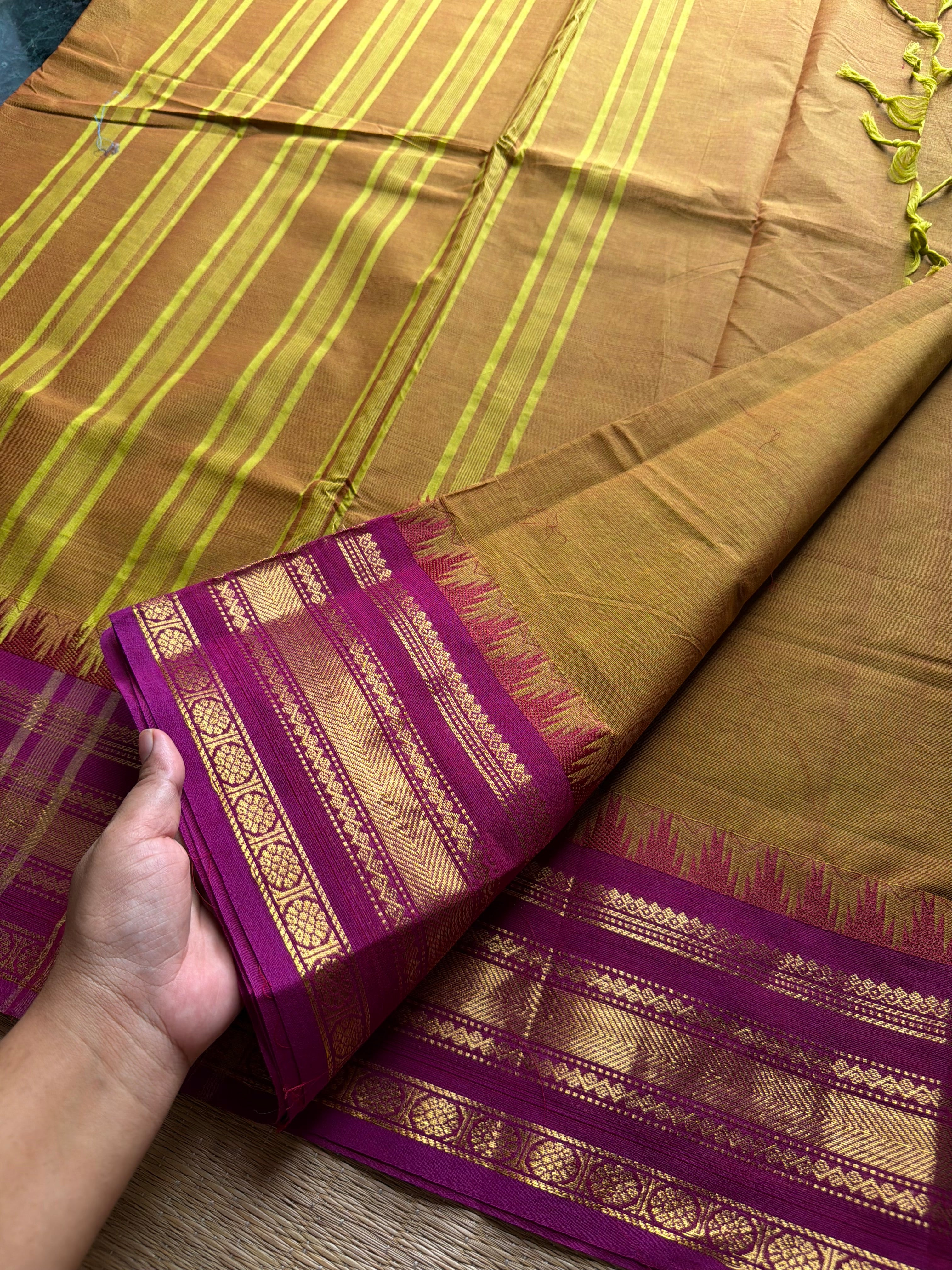 RF686 Thazhampoo border Kanchi cotton saree ~ Dual tone mustard