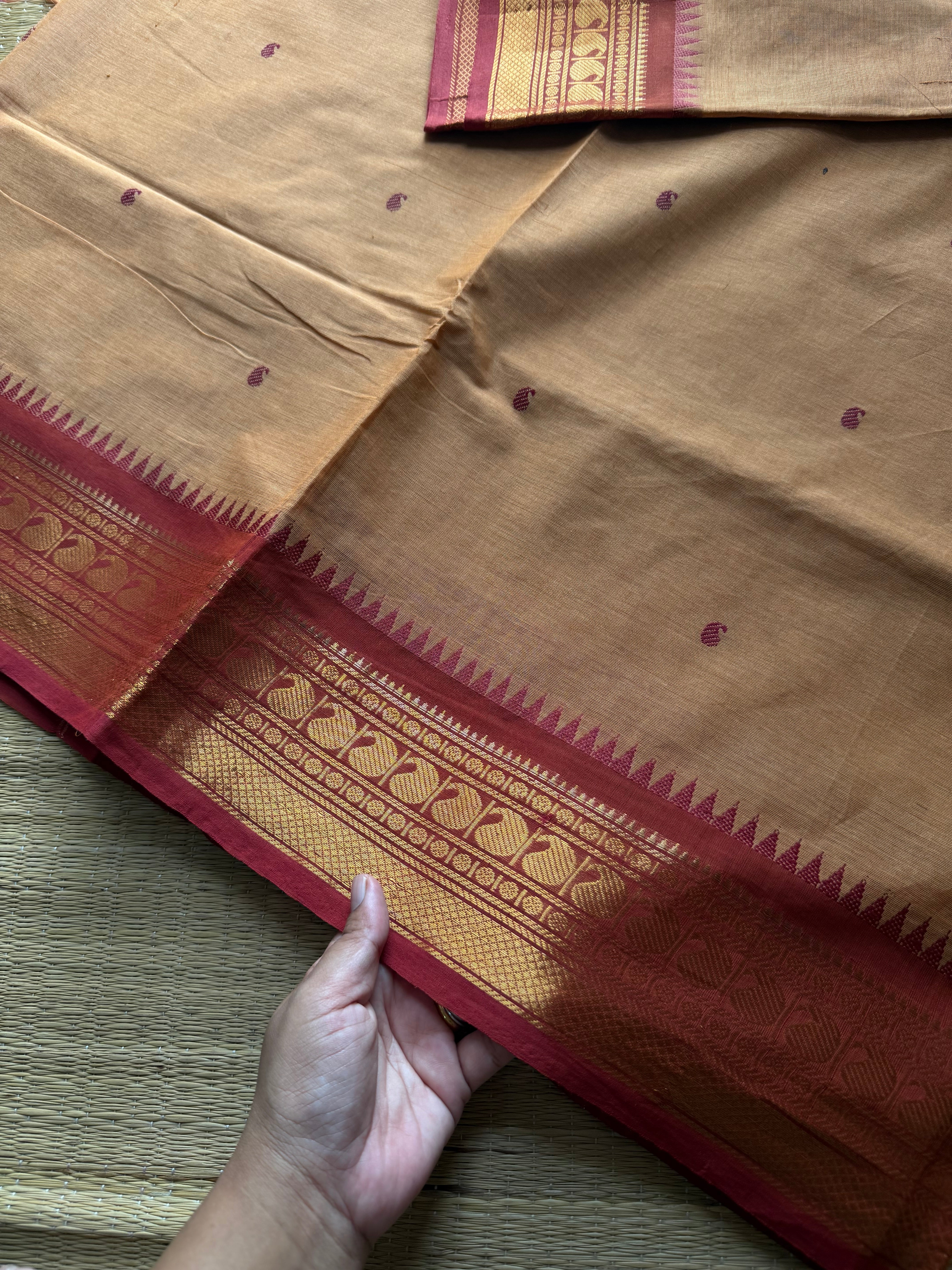 RF916 Beige ~ Kanchi cotton saree with handmade thread buttas