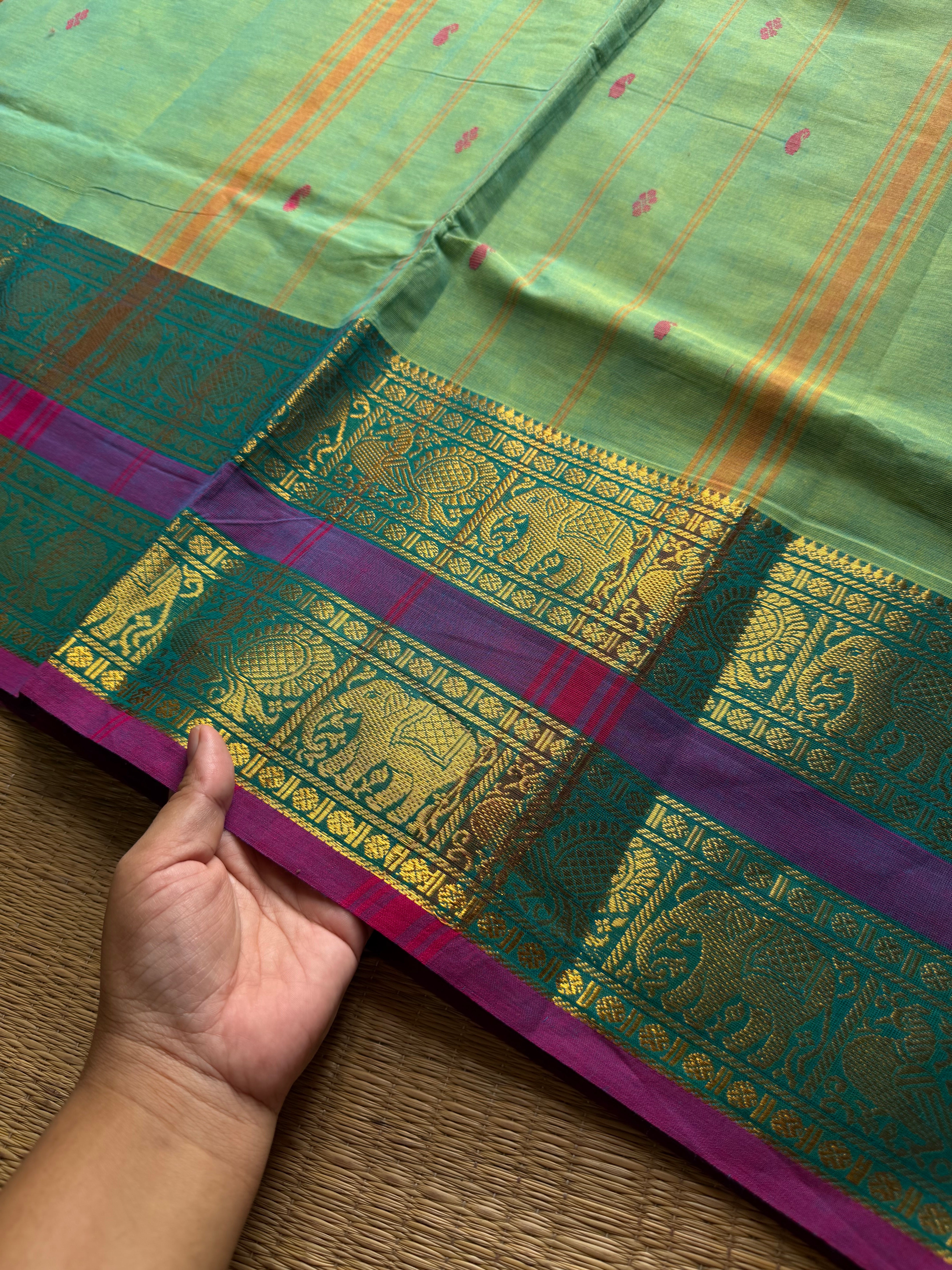 RF1326 Dual tone Apple green shade ~ Kanchi cotton Rettapet border saree