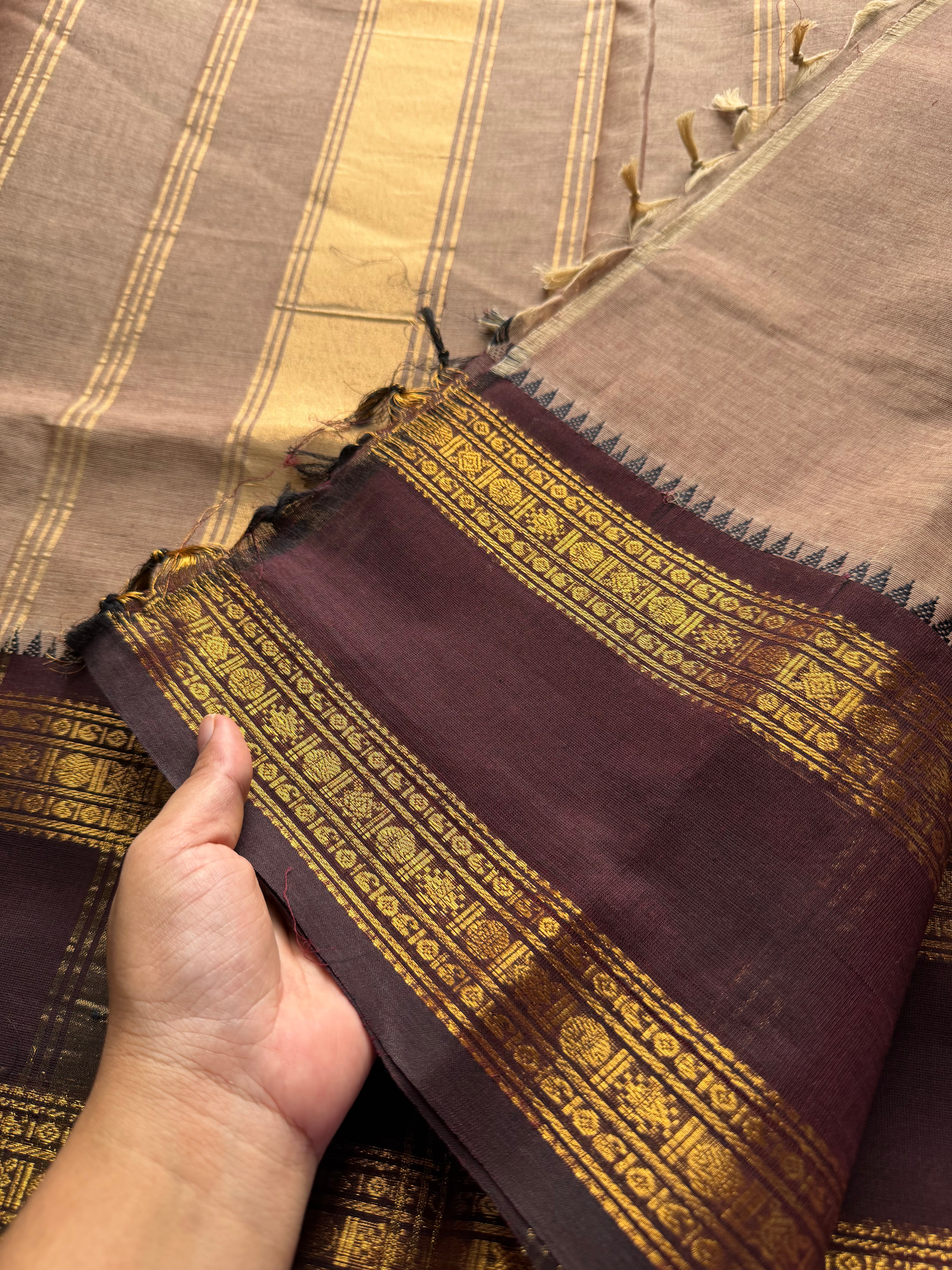 RF271 Biscuit shade Kanchi cotton saree with Ganga Jamuna border