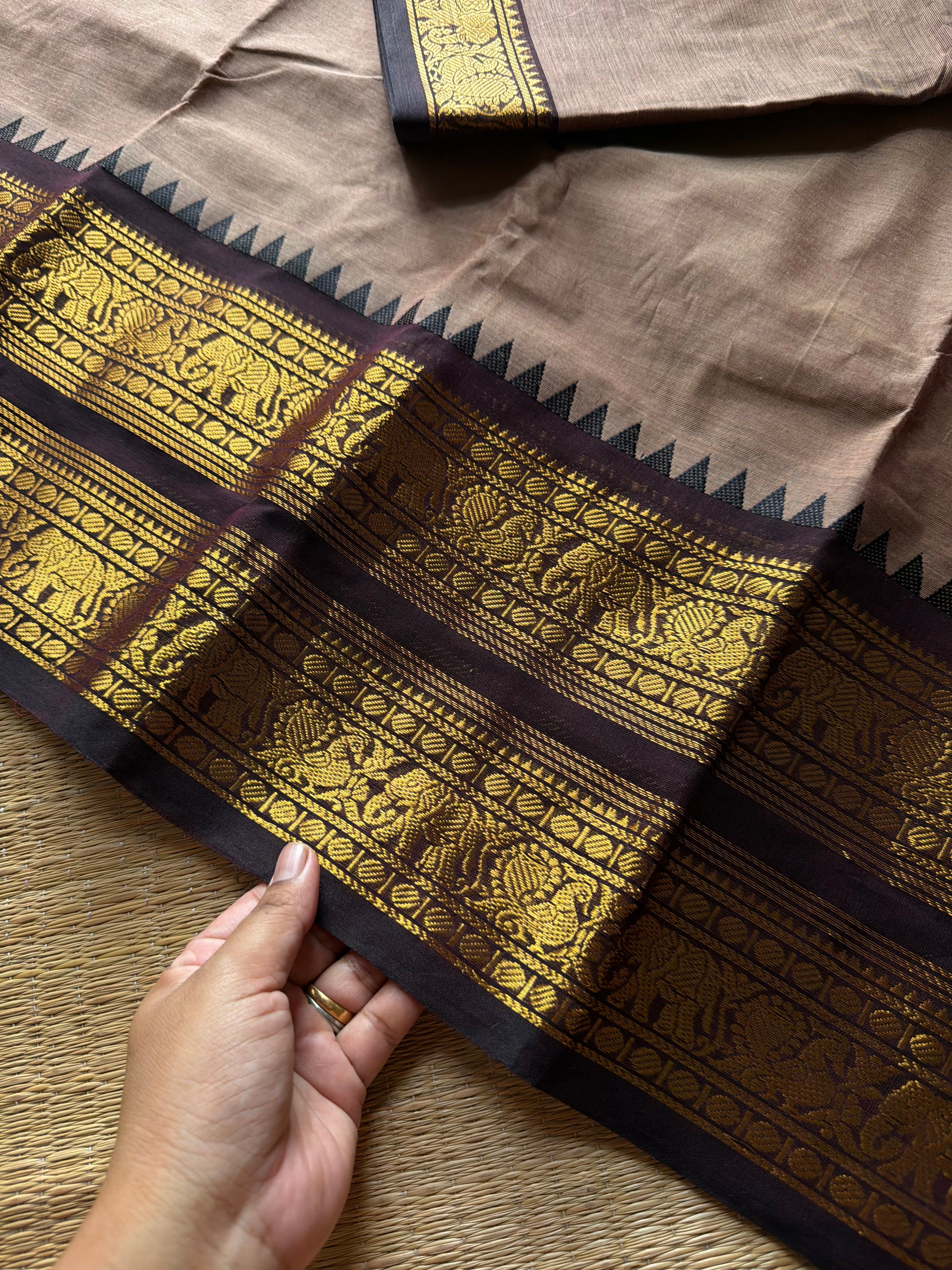 RF1371 Dual tone biscuit shade ~ Rettapet border Kanchi cotton saree