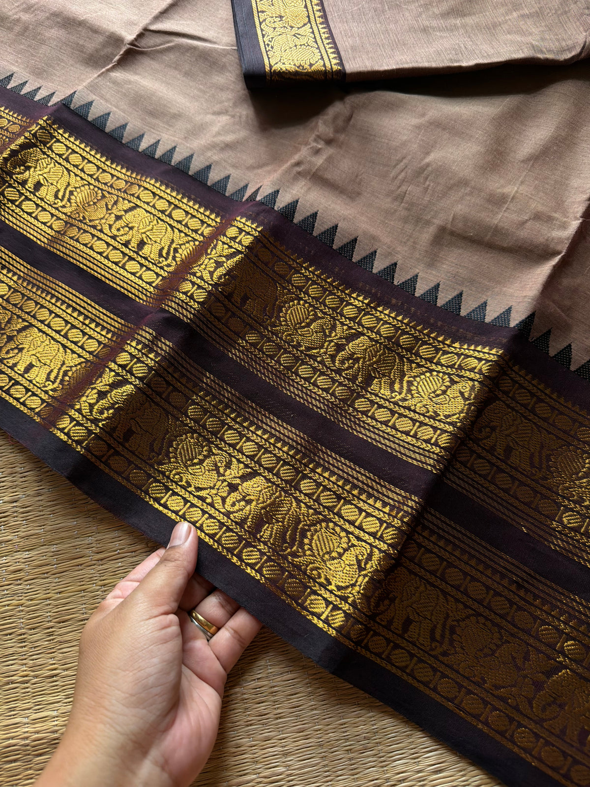 RF1371 Dual tone biscuit shade ~ Rettapet border Kanchi cotton saree