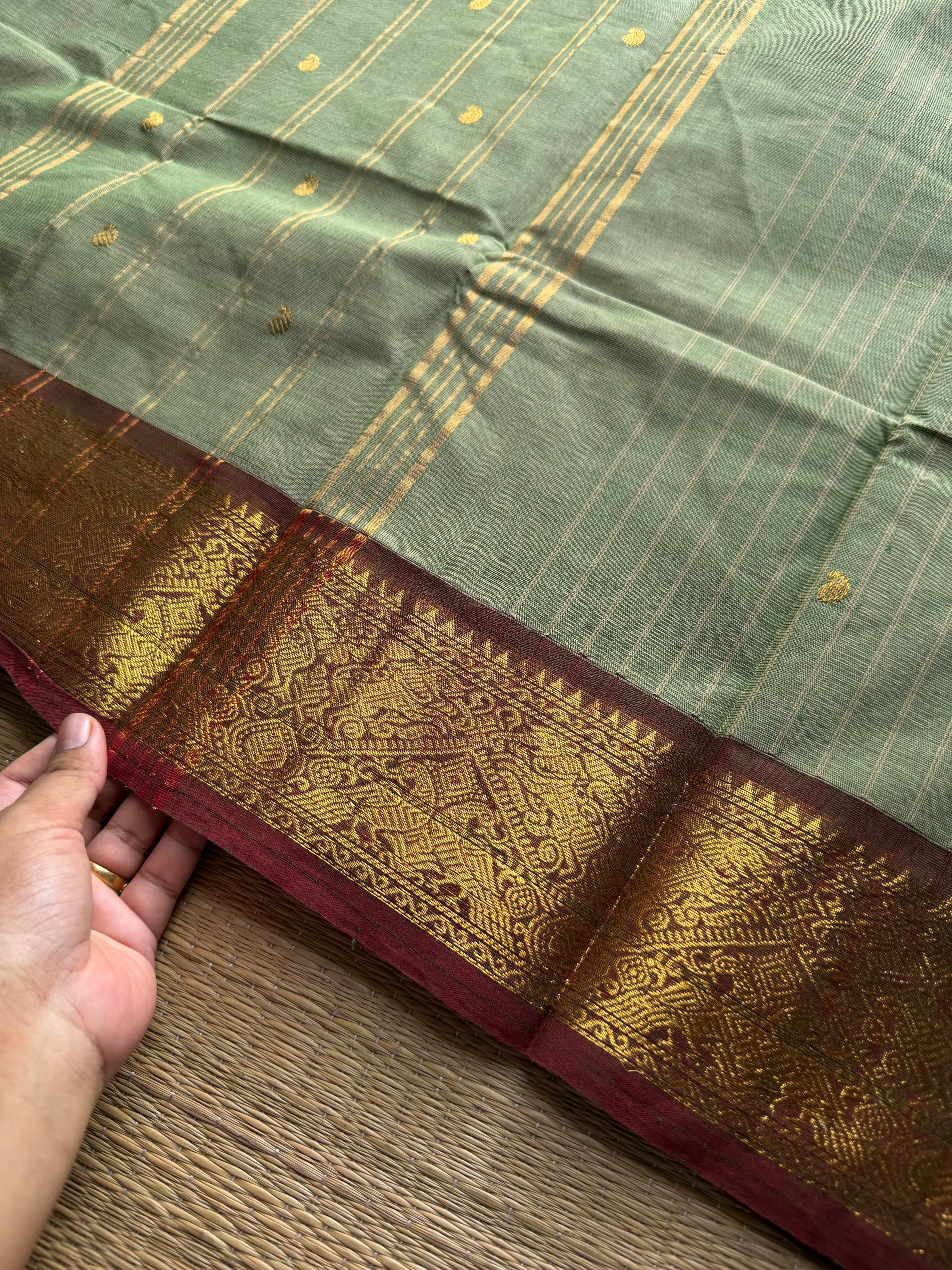 RF1015 Pista green shade ~ Vanasingaram border Kanchi cotton saree with handmade golden Zari Buttas