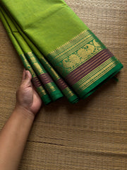 RF942 Parrot green shade ~ Silk saree inspired Kanchi cotton saree