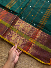 RF1336 Green shade ~ Kanchi cotton Rettapet border saree
