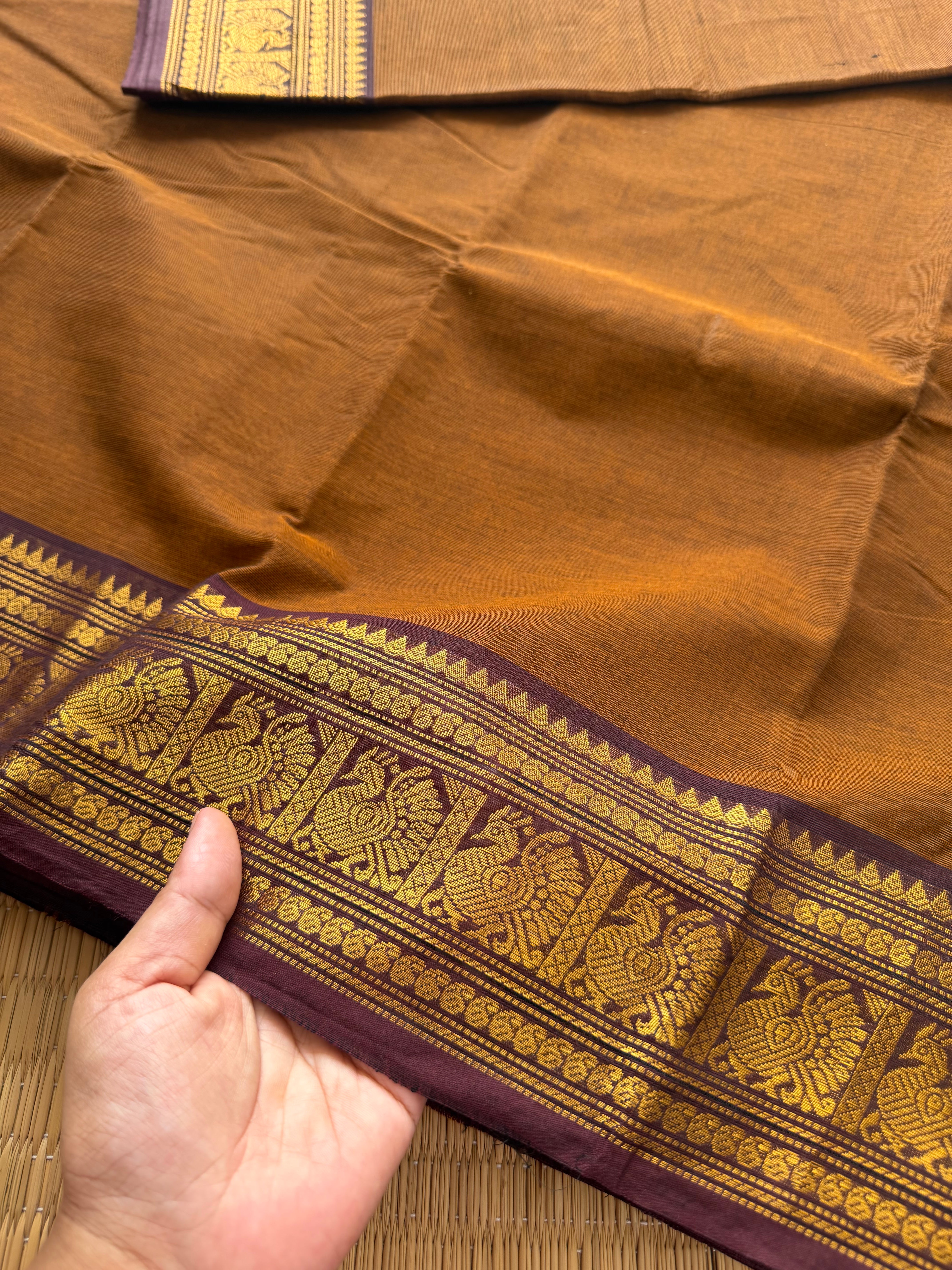 RF153 Coffee shade with contrast dark brown medium size golden Zari border with Annam pattern