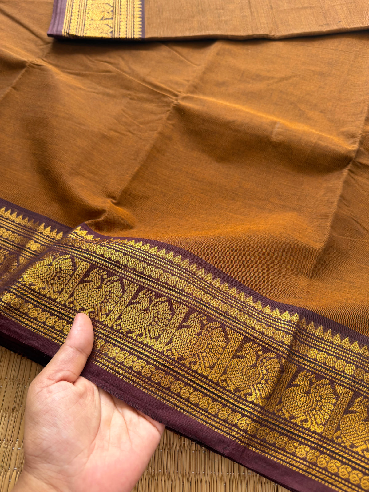 RF153 Coffee shade with contrast dark brown medium size golden Zari border with Annam pattern