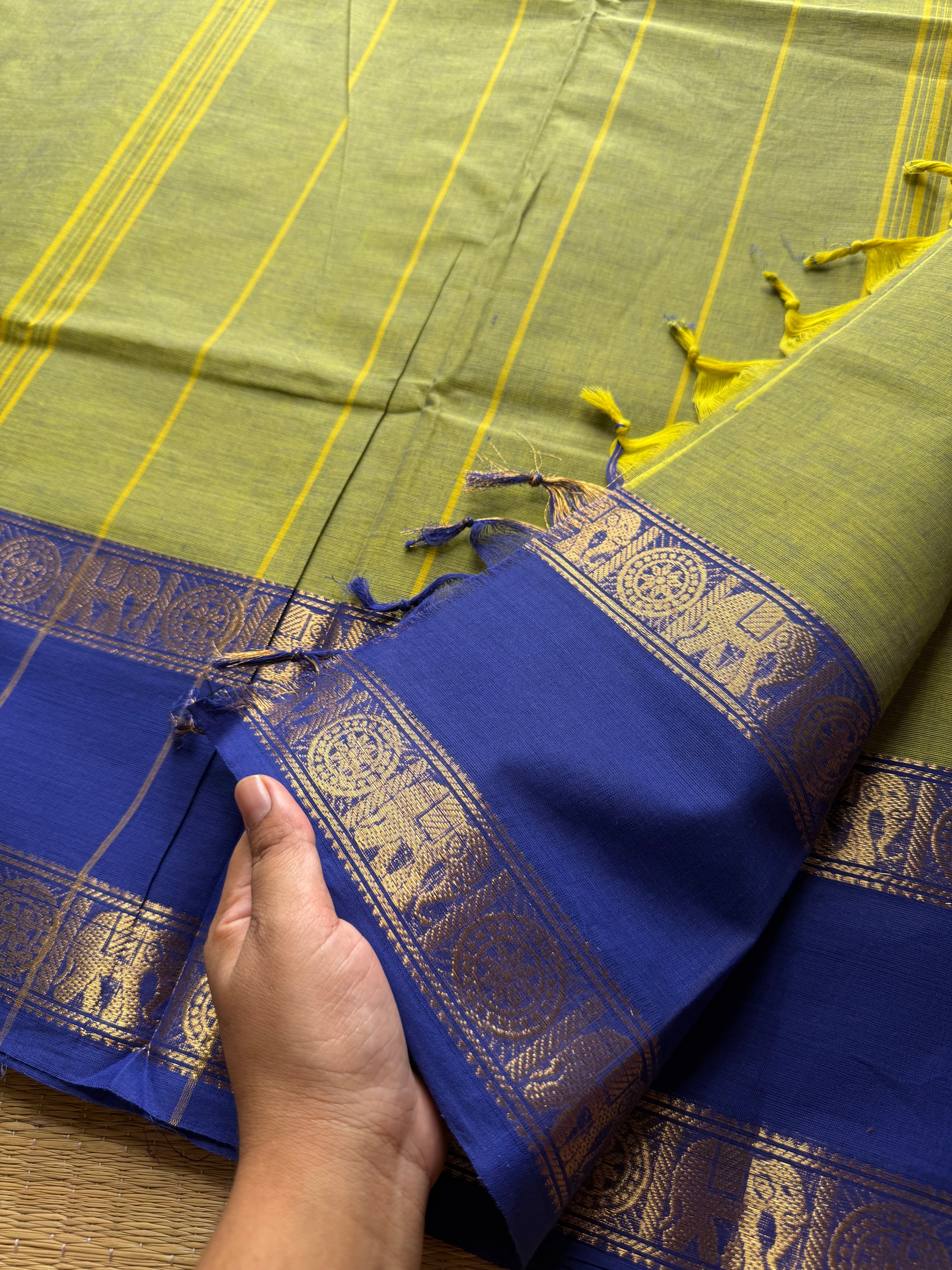 RF687 Dual tone Apple green with royal blue combination gap border Kanchi cotton saree