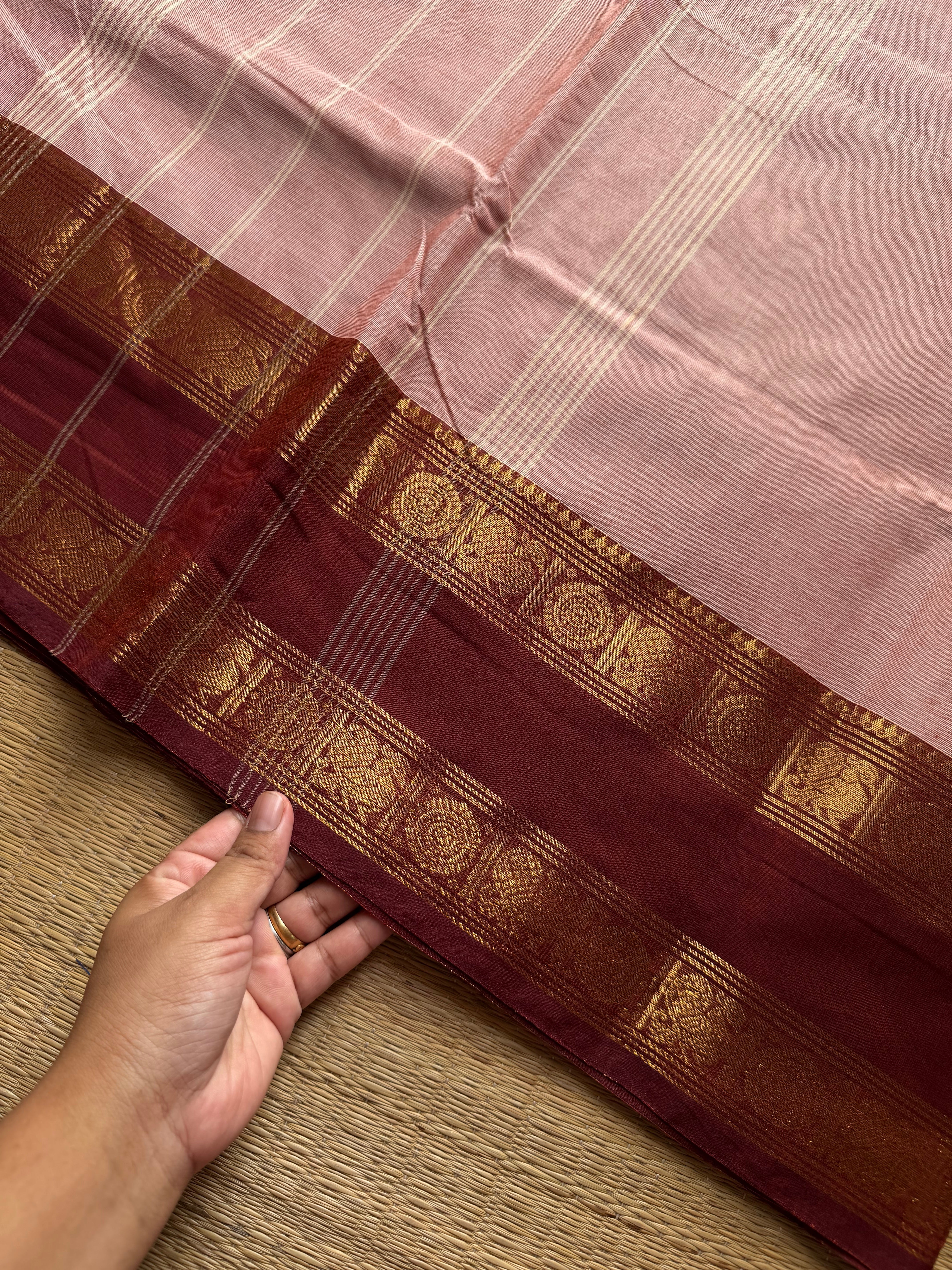 RF1097 Beige shade ~ Gap Border Kanchi Cotton saree
