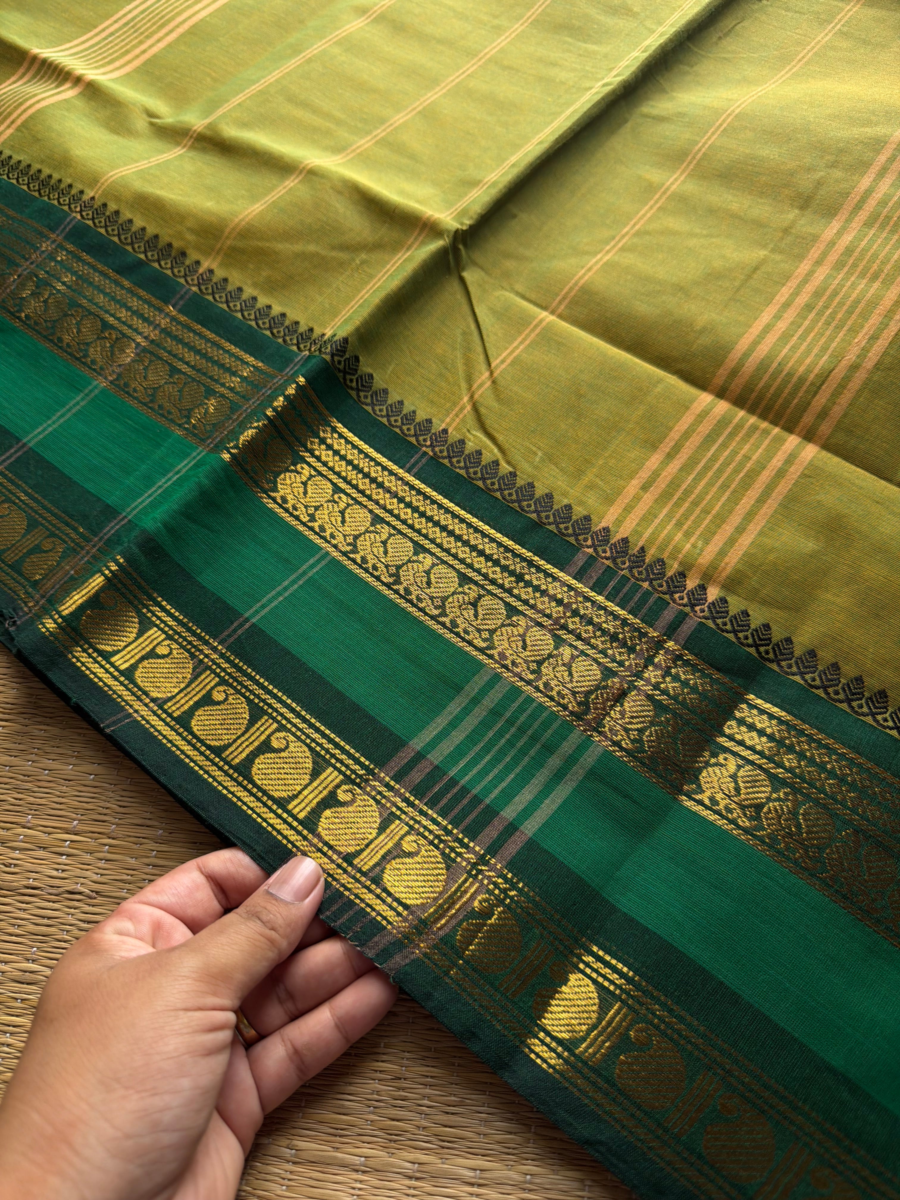 RF945 Dual tone light green Kanchi cotton saree