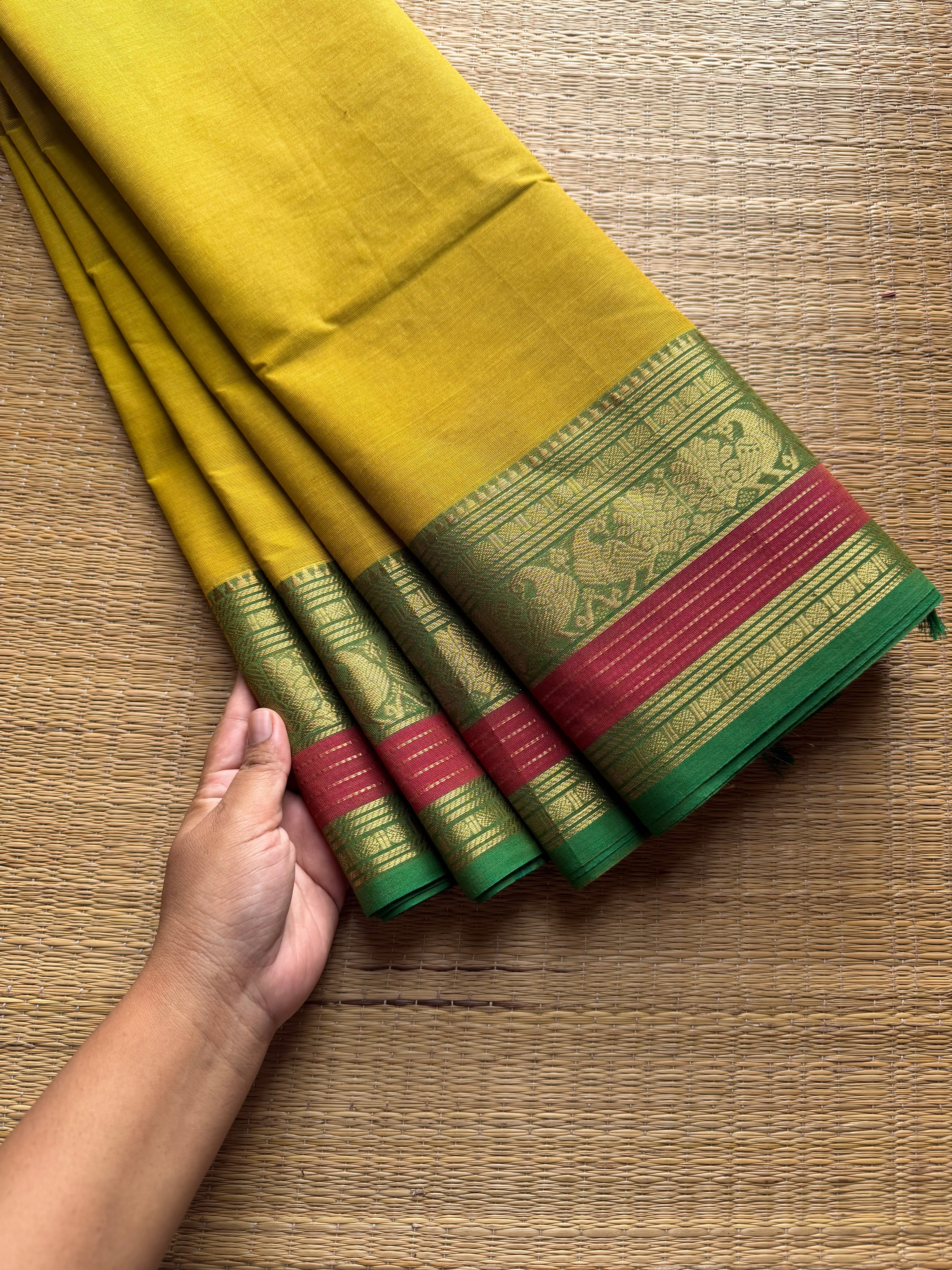 RF950 Dual tone yellow shade Kanchi cotton saree