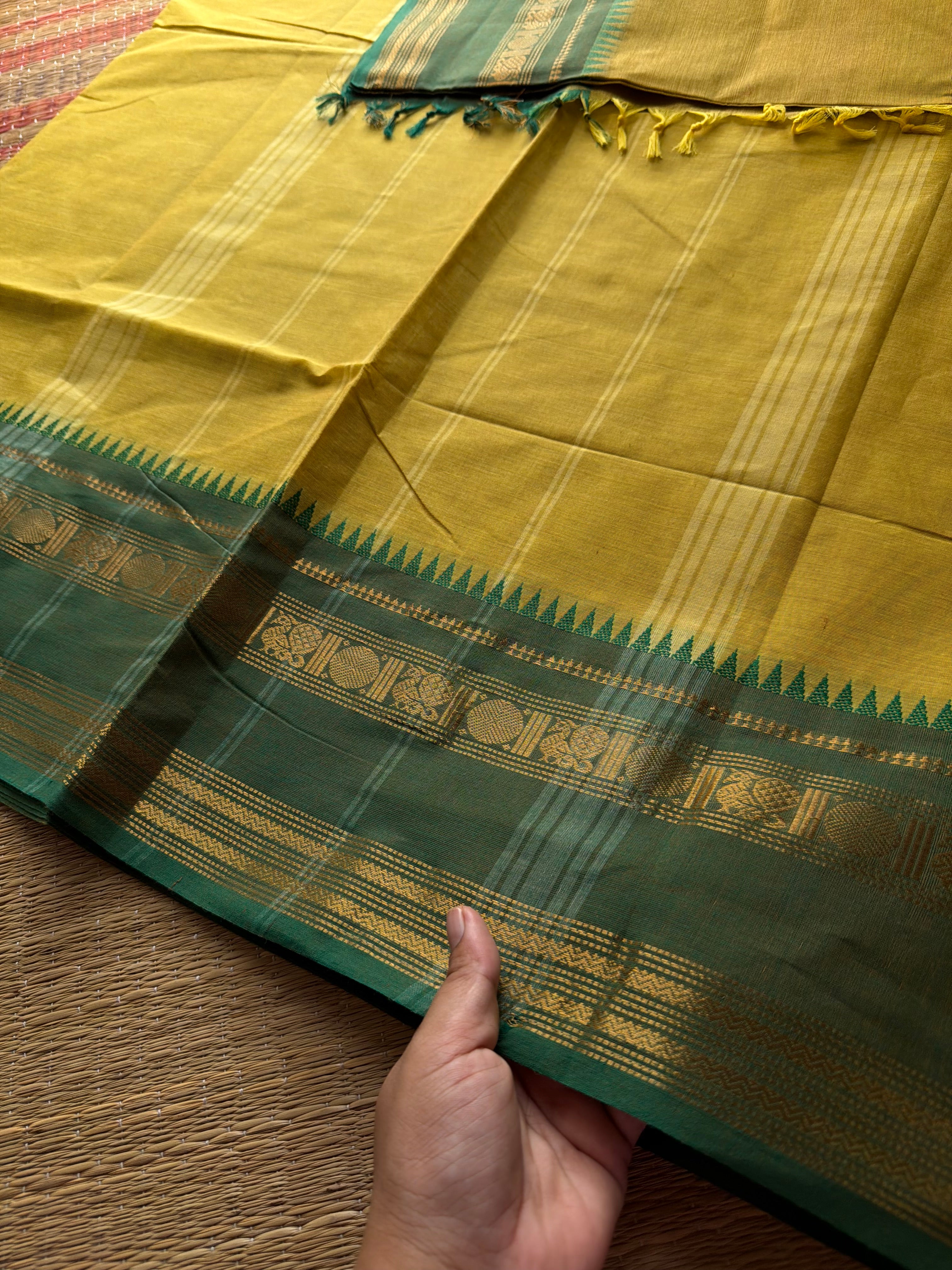 RF531 Light mustard yellow with green combination Kanchi cotton saree