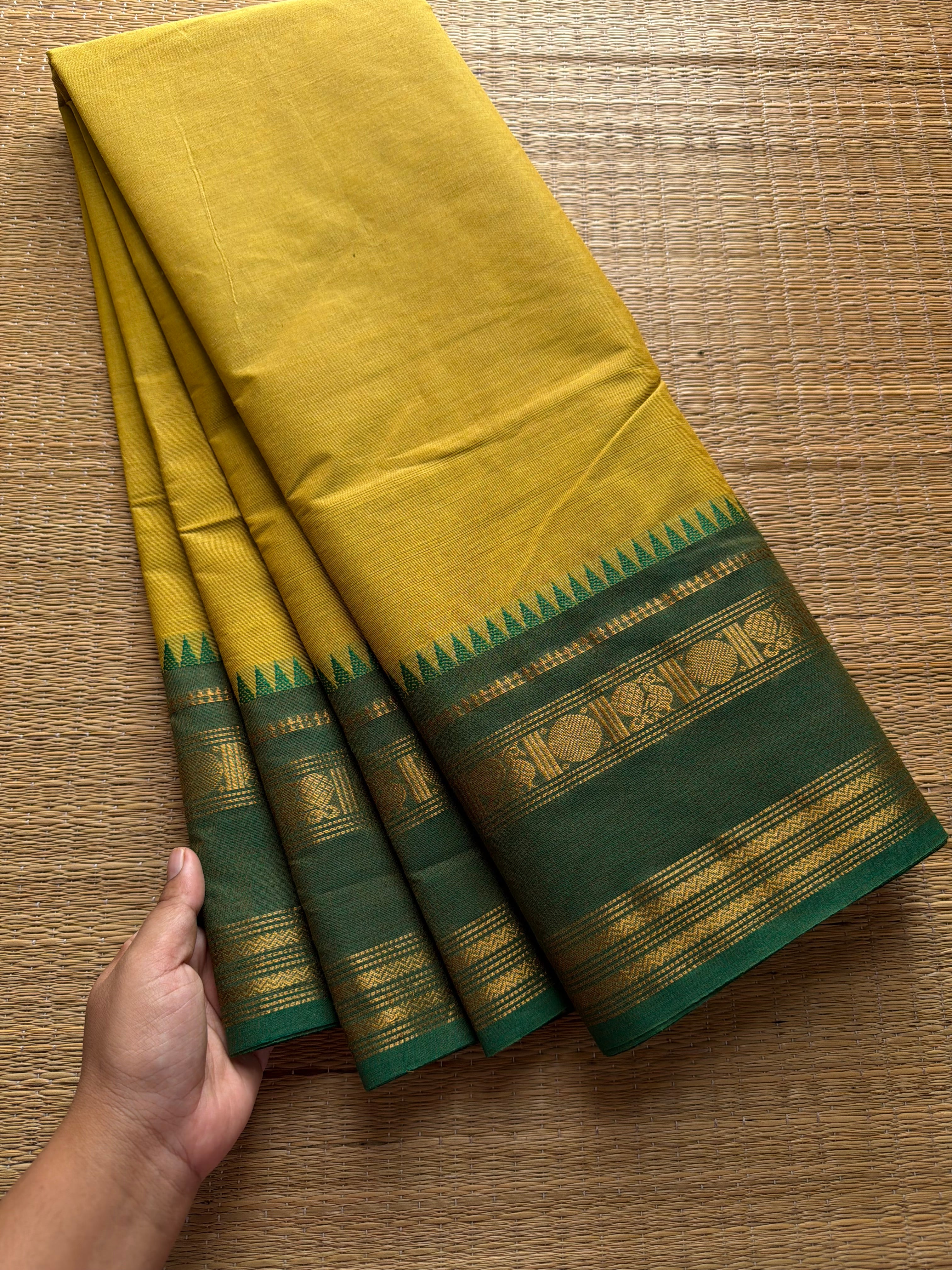 RF531 Light mustard yellow with green combination Kanchi cotton saree