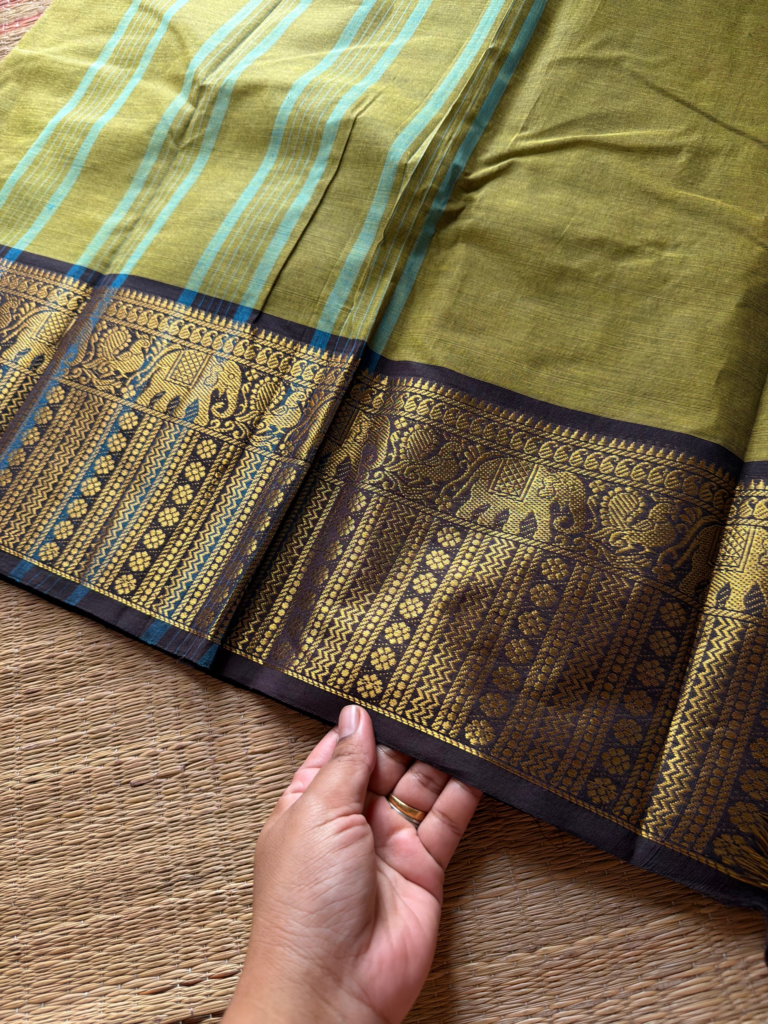RF1367 Olive green with brown ~ Kanchi Cotton Saree