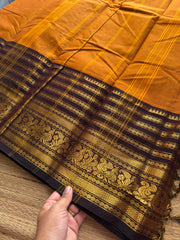 Mustard with brown combination big Zari Varisaipet border Kanchi cotton saree