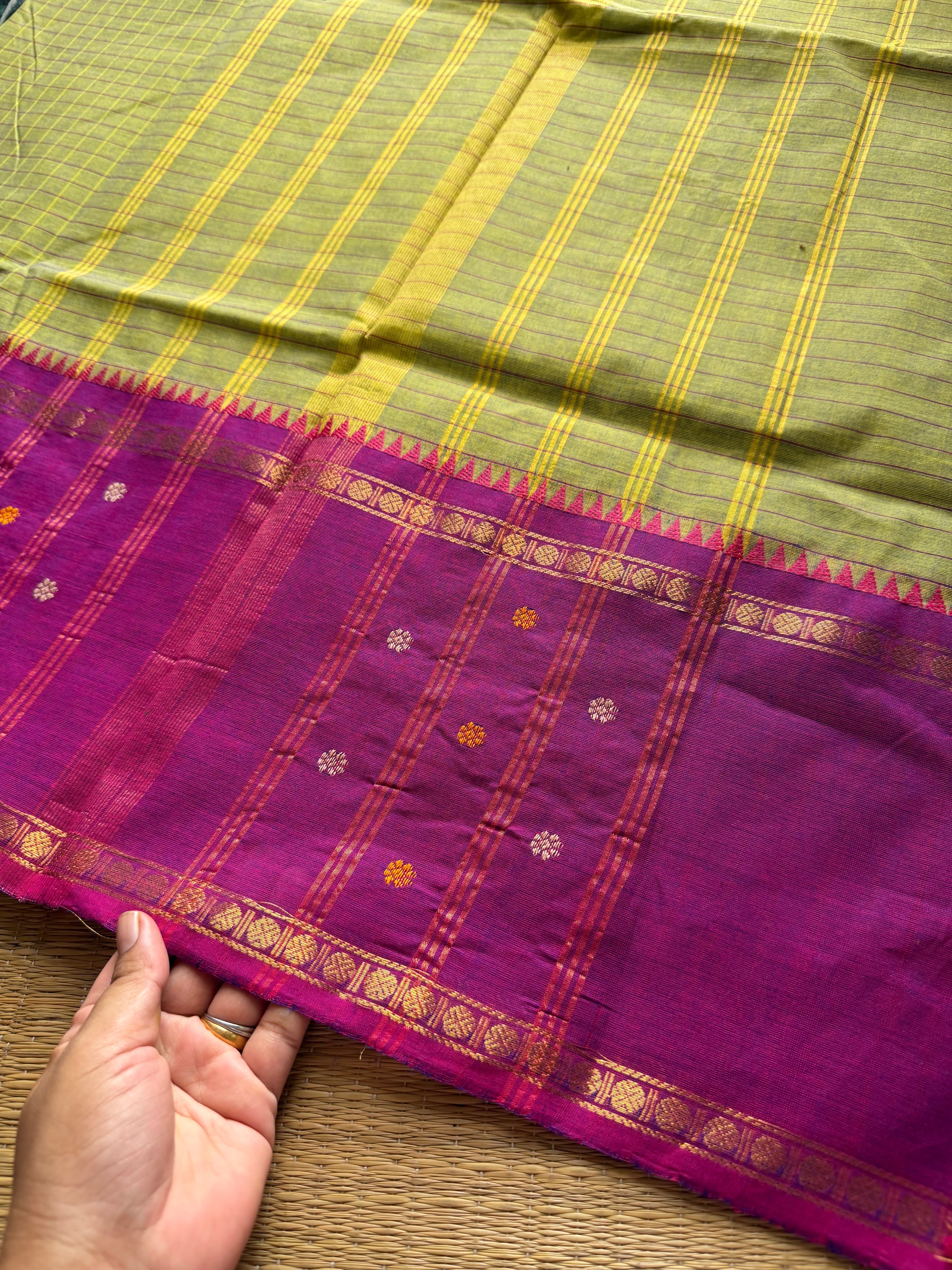 Dual tone Apple green shade Vintage Border Kanchi Cotton Saree With kattam / checks pattern & handwoven Buttas on the border