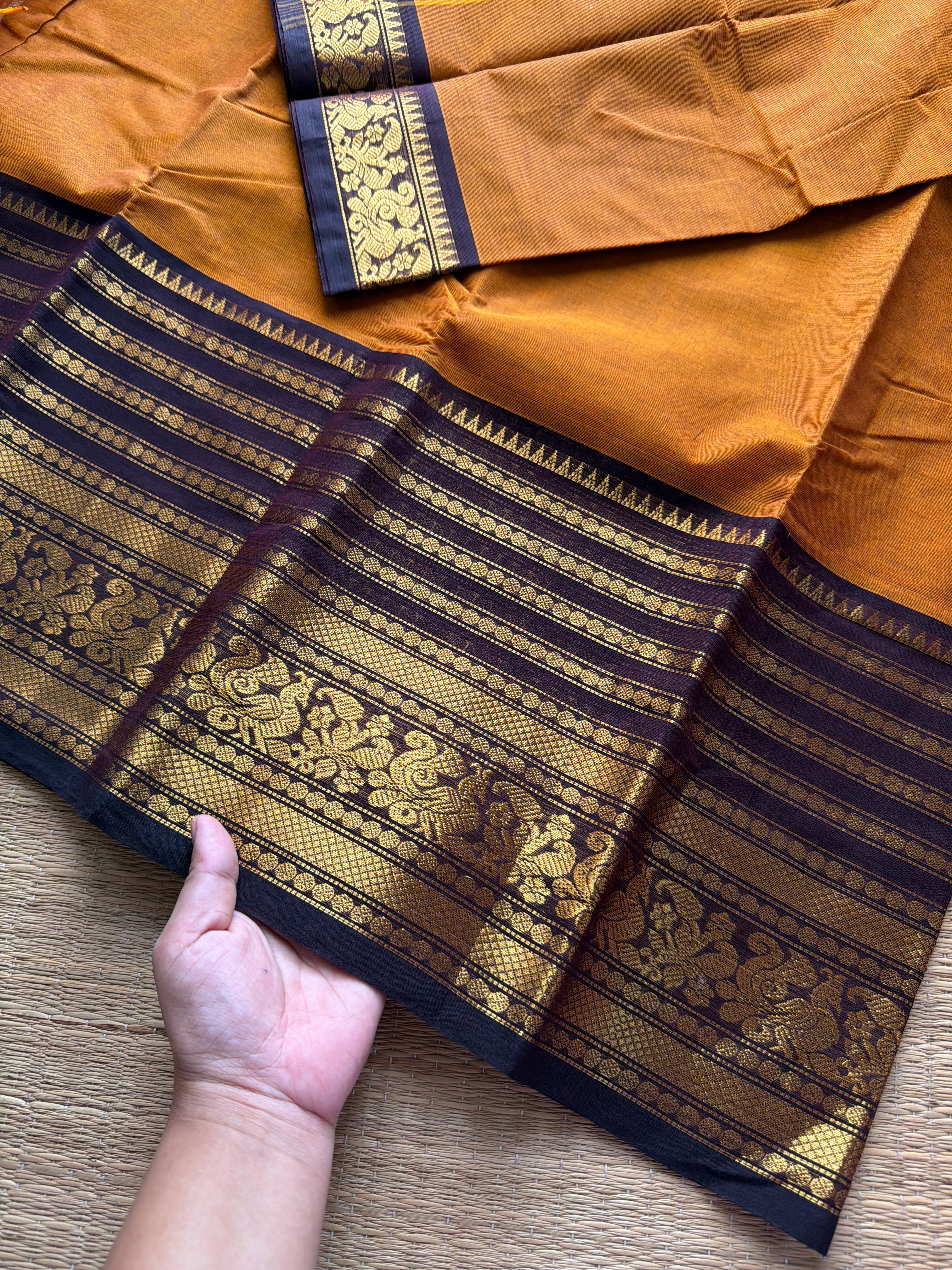 Mustard with brown combination big Zari Varisaipet border Kanchi cotton saree