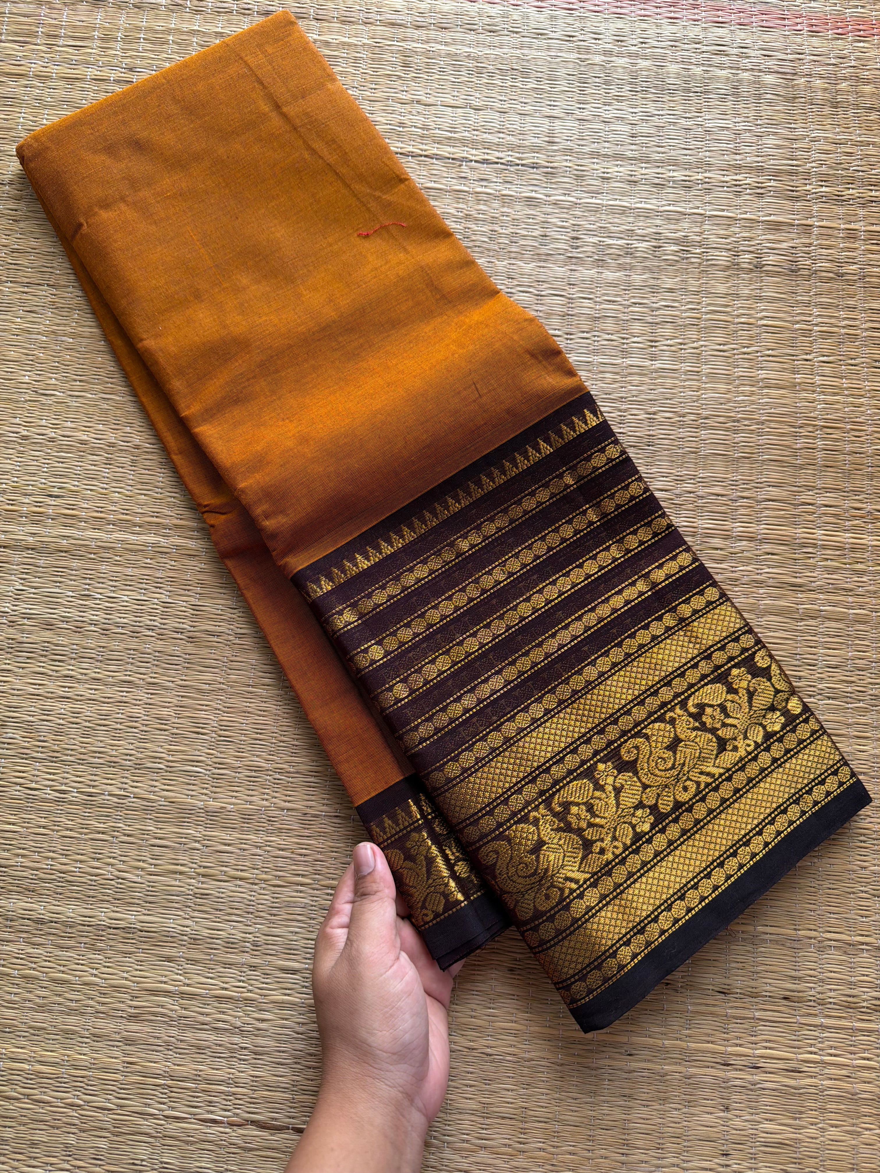 Mustard with brown combination big Zari Varisaipet border Kanchi cotton saree