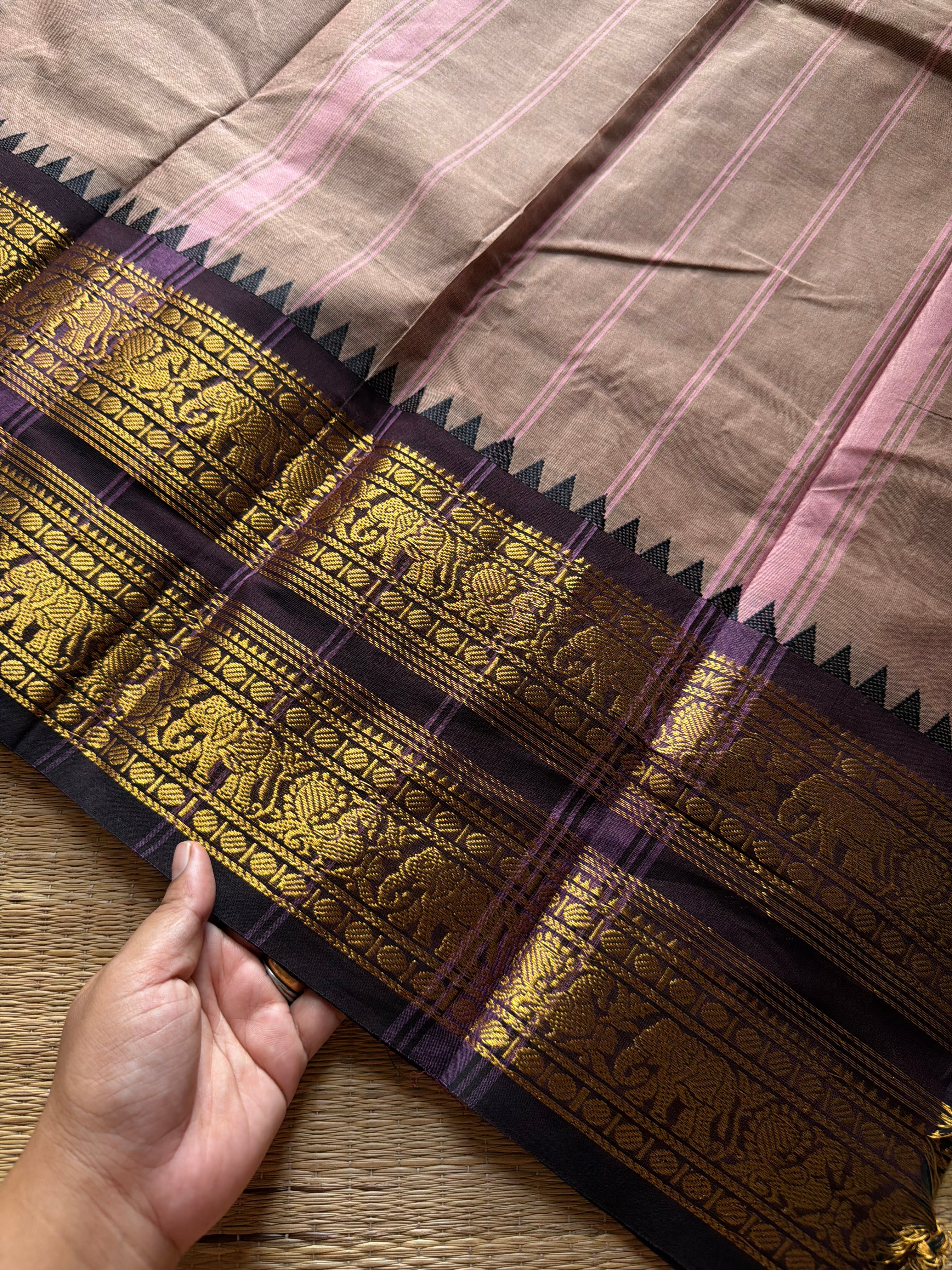 RF1371 Dual tone biscuit shade ~ Rettapet border Kanchi cotton saree