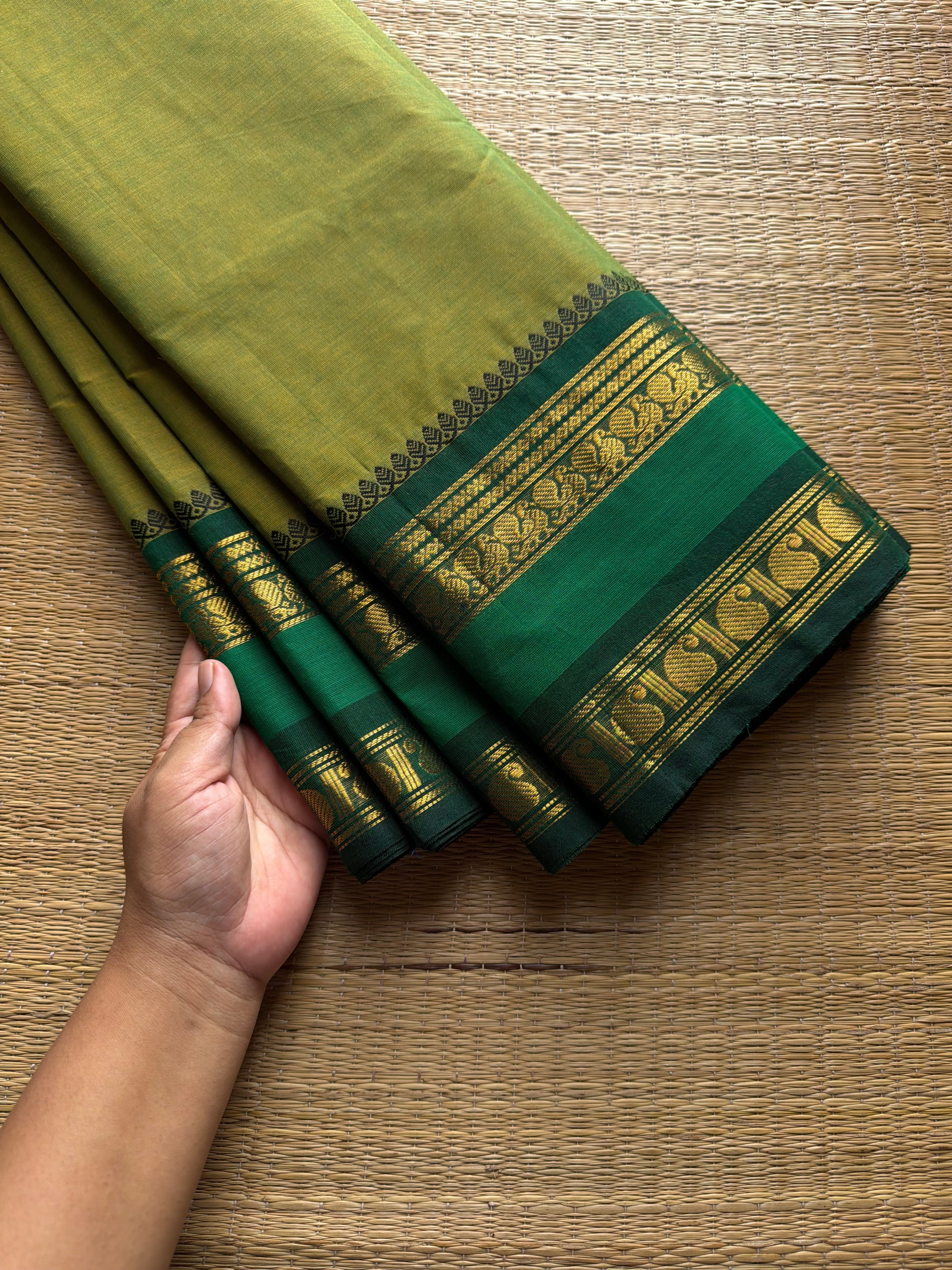 RF945 Dual tone light green Kanchi cotton saree
