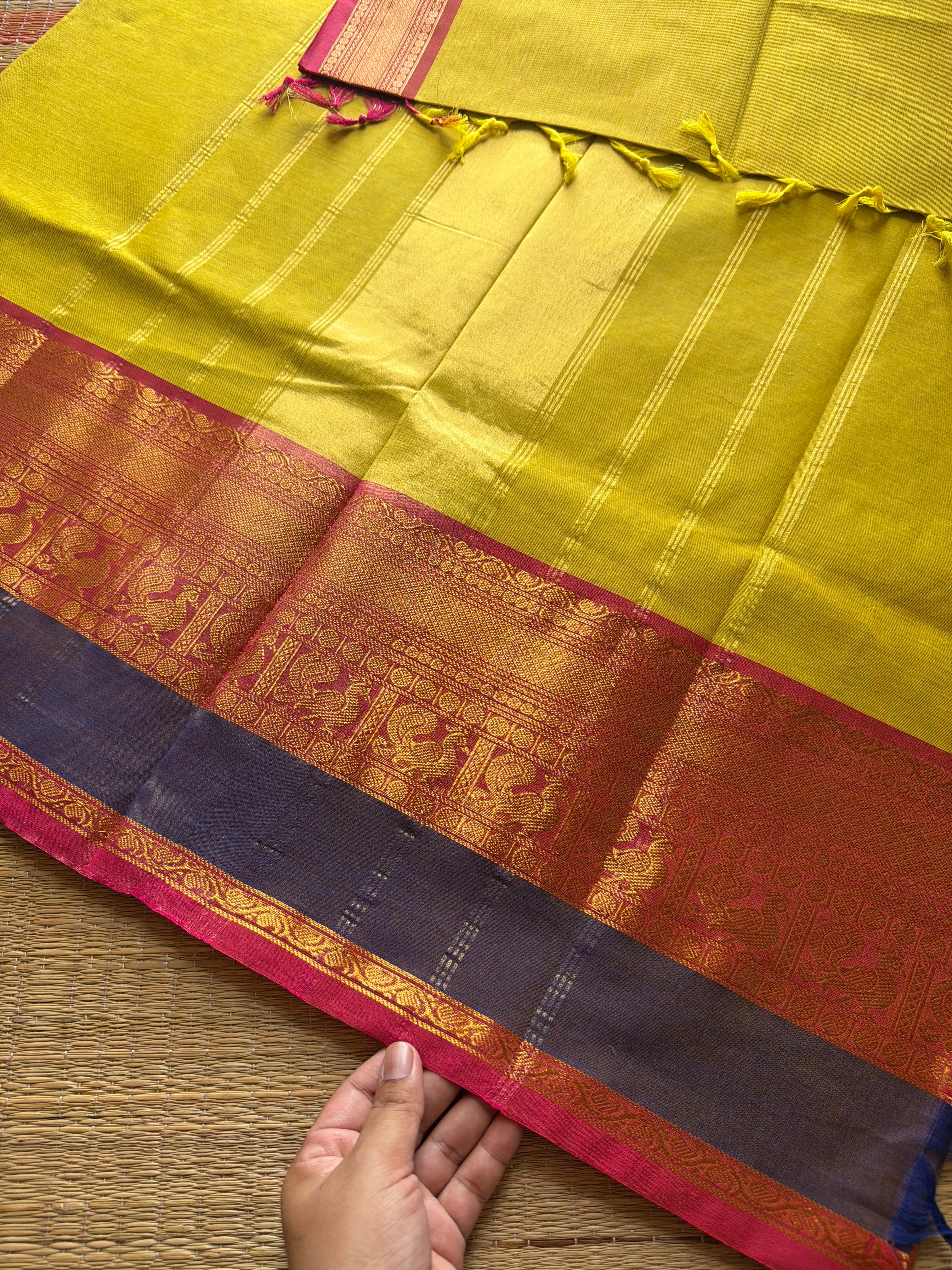 Mustard yellow shade Kanchi cotton saree with contrast big Zari border