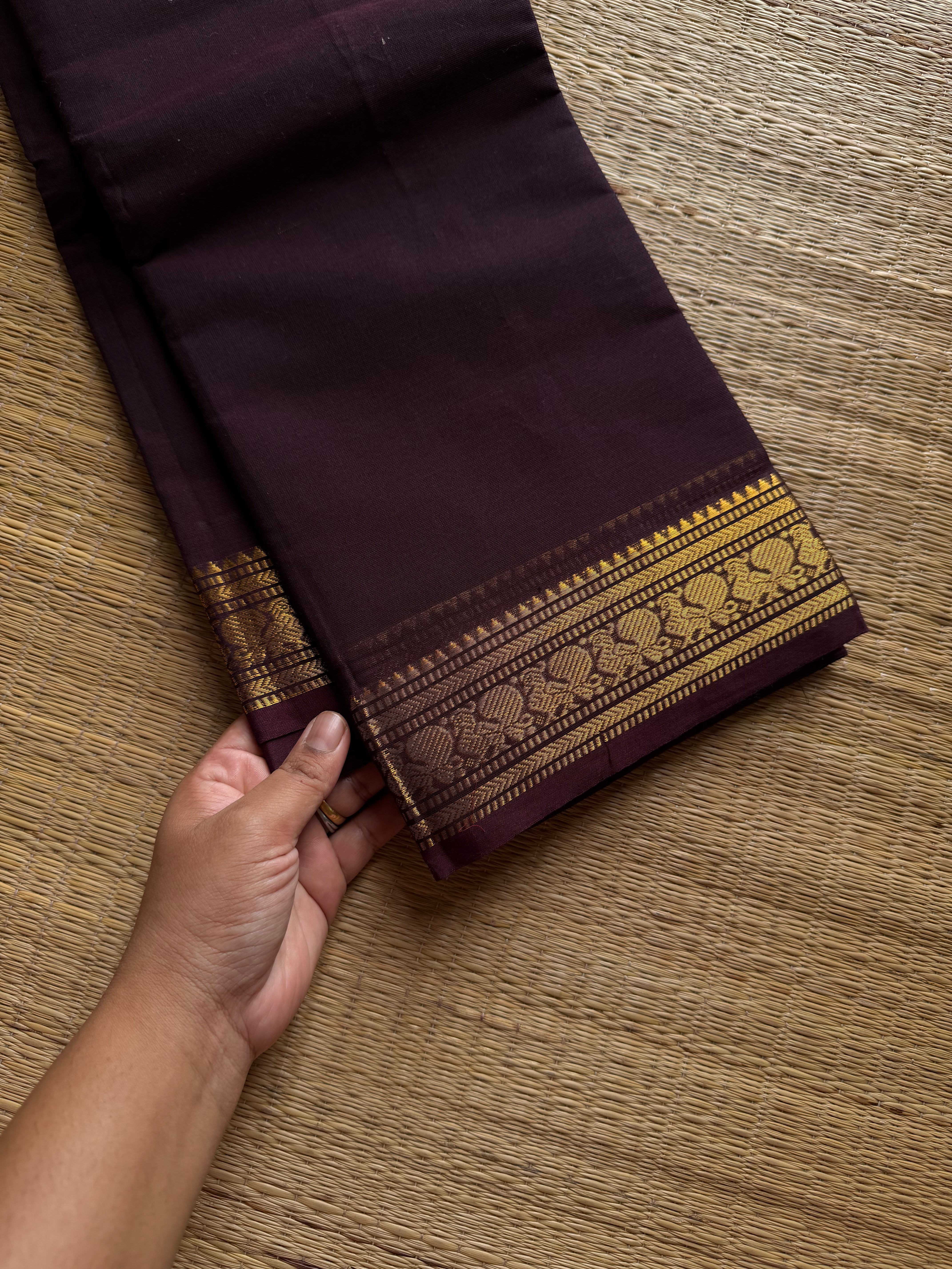 RF1303 Monotone coffee brown small border Kanchi cotton saree