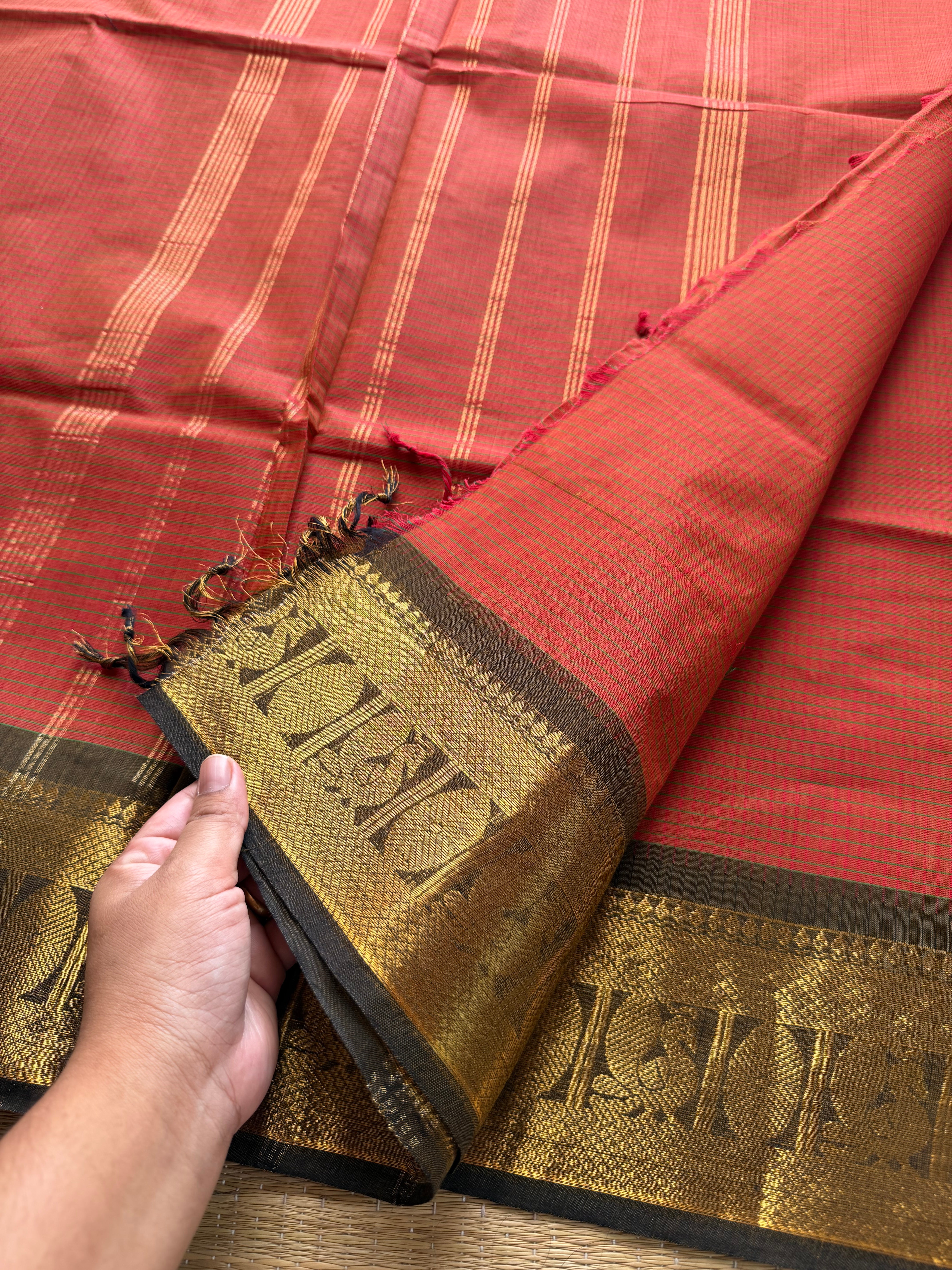 Rust orange shade podi kattam Kanchi cotton saree with Annam golden Zari border