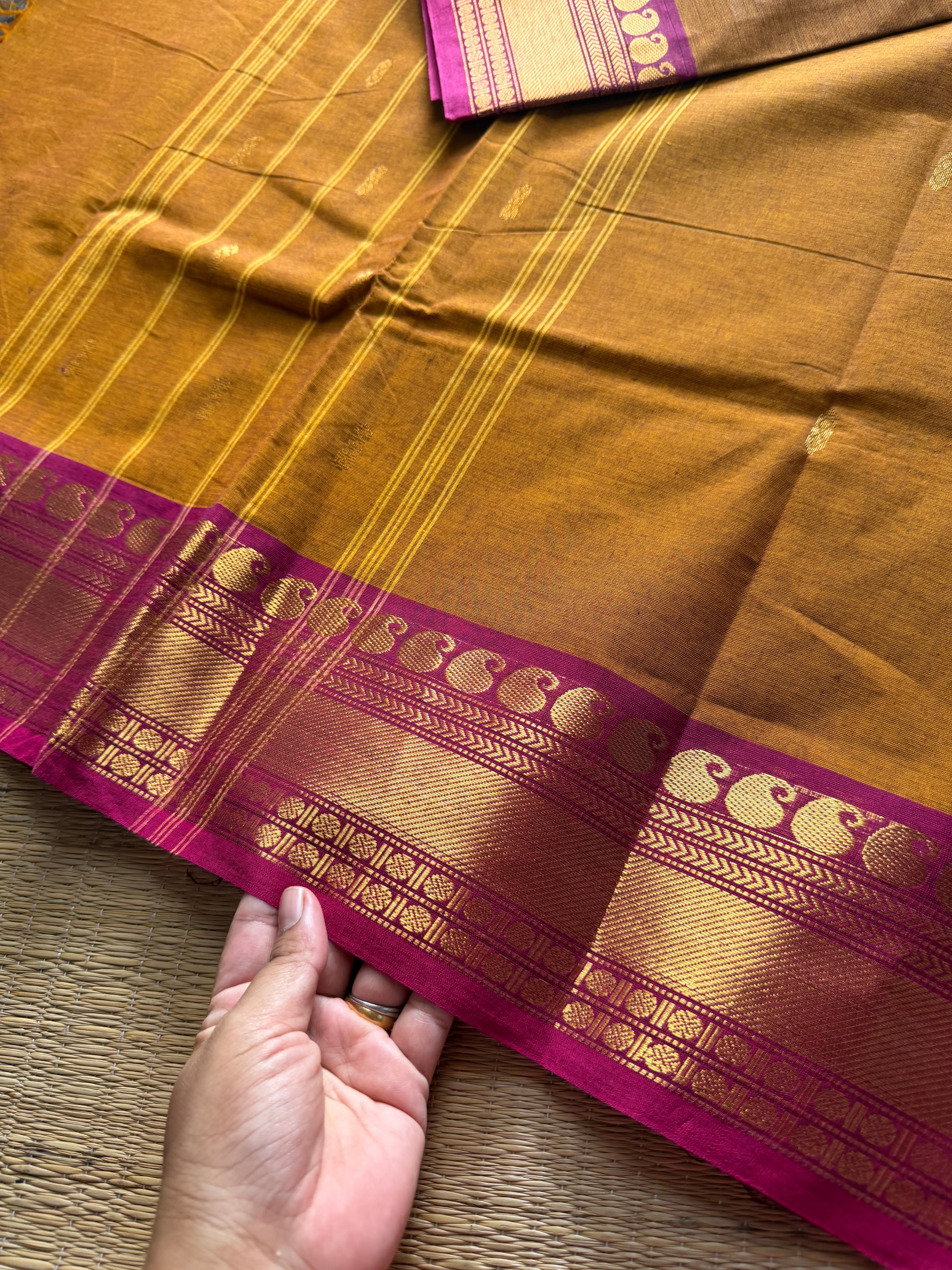 Mustard with pink combination Kanchi cotton saree with handmade golden Zari Buttas