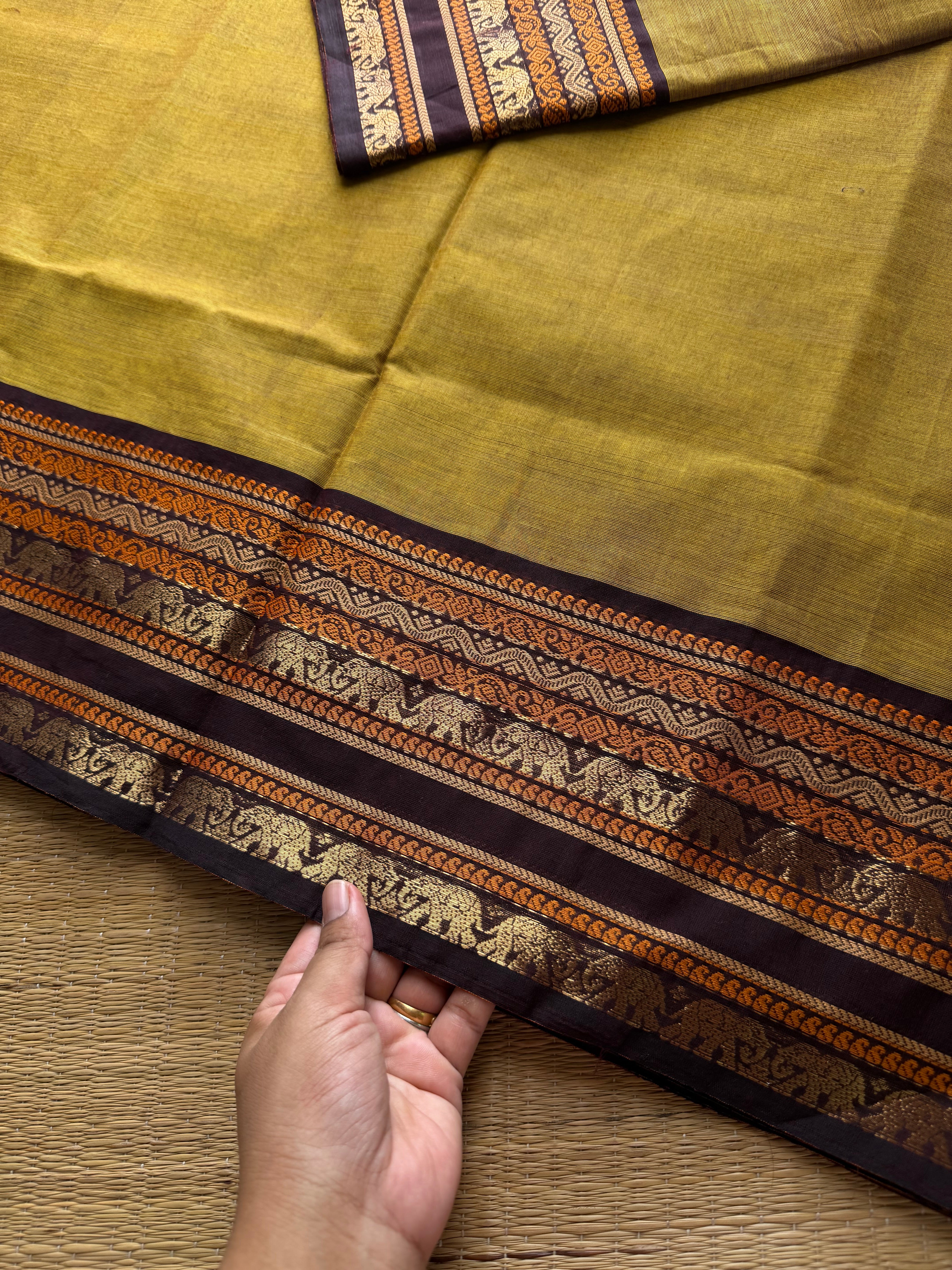 Light dual tone green shade with brown combination Kanchi cotton saree with unique Varisaipet border