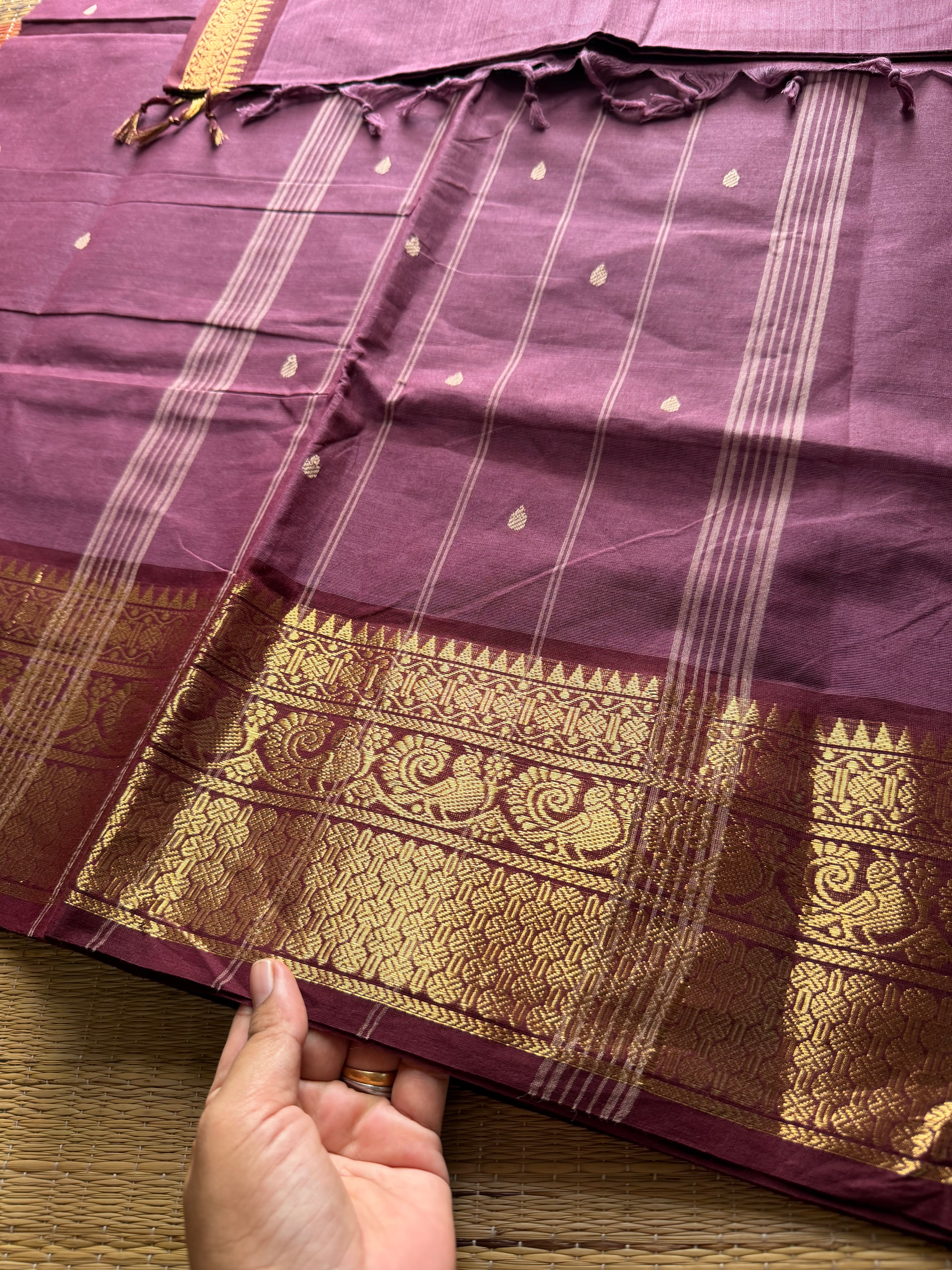 RF241 Dual tone grape shade with brown combination Kanchi cotton saree with handmade thread buttas
