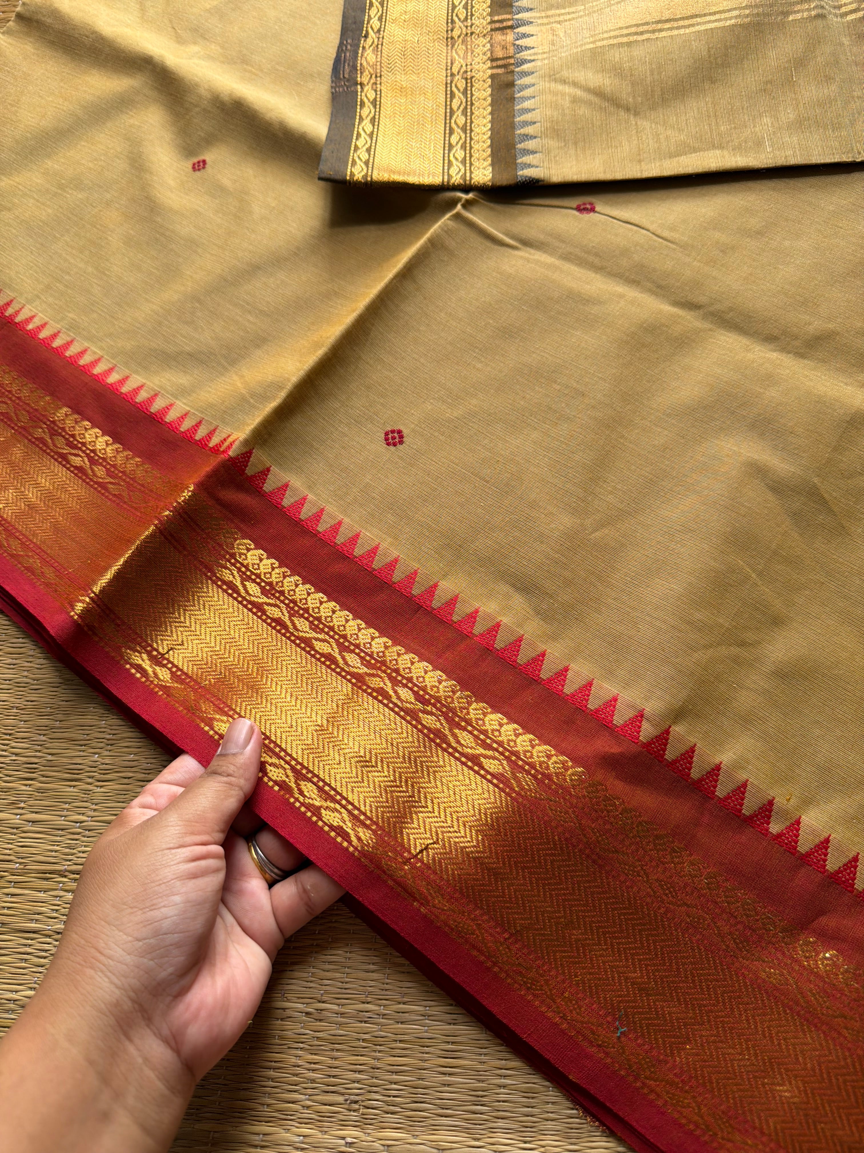 RF906 Beige ~ Kanchi cotton saree with handmade thread buttas & Ganga Jamuna border