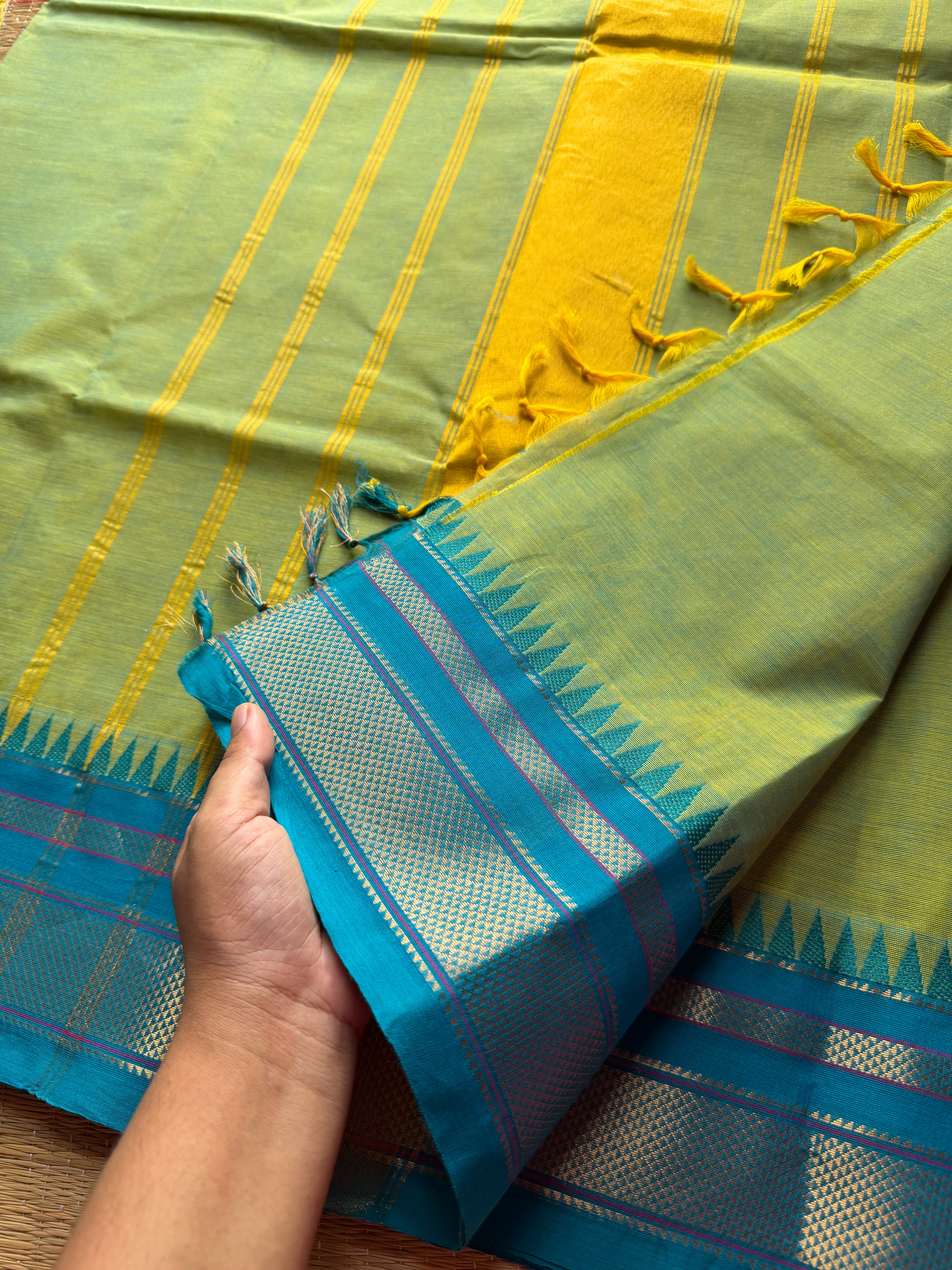 RF188 Apple green shade with contrast sky blue combination medium size Kanchi cotton saree