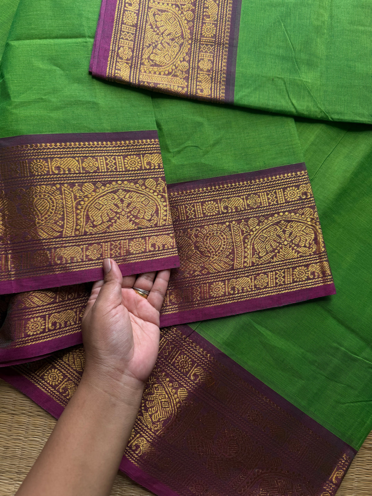 Green shade Kanchi cotton saree ~ Silk Saree Inspired