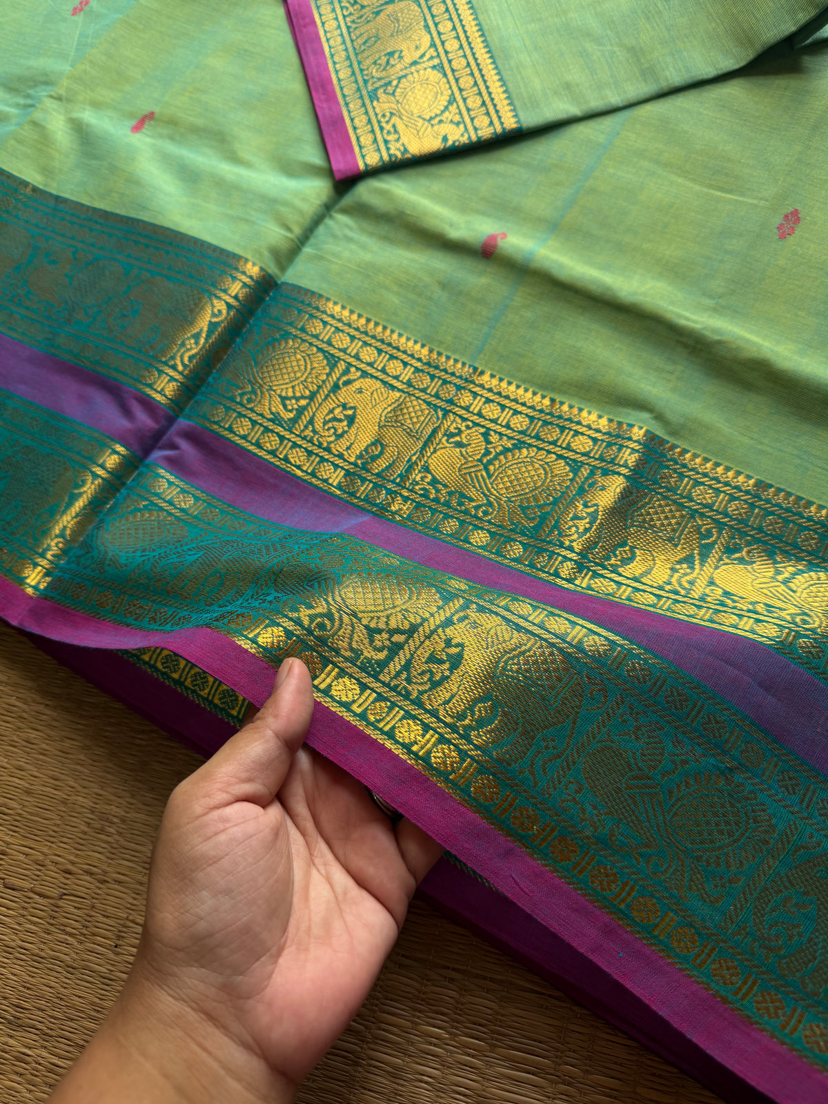 RF1326 Dual tone Apple green shade ~ Kanchi cotton Rettapet border saree