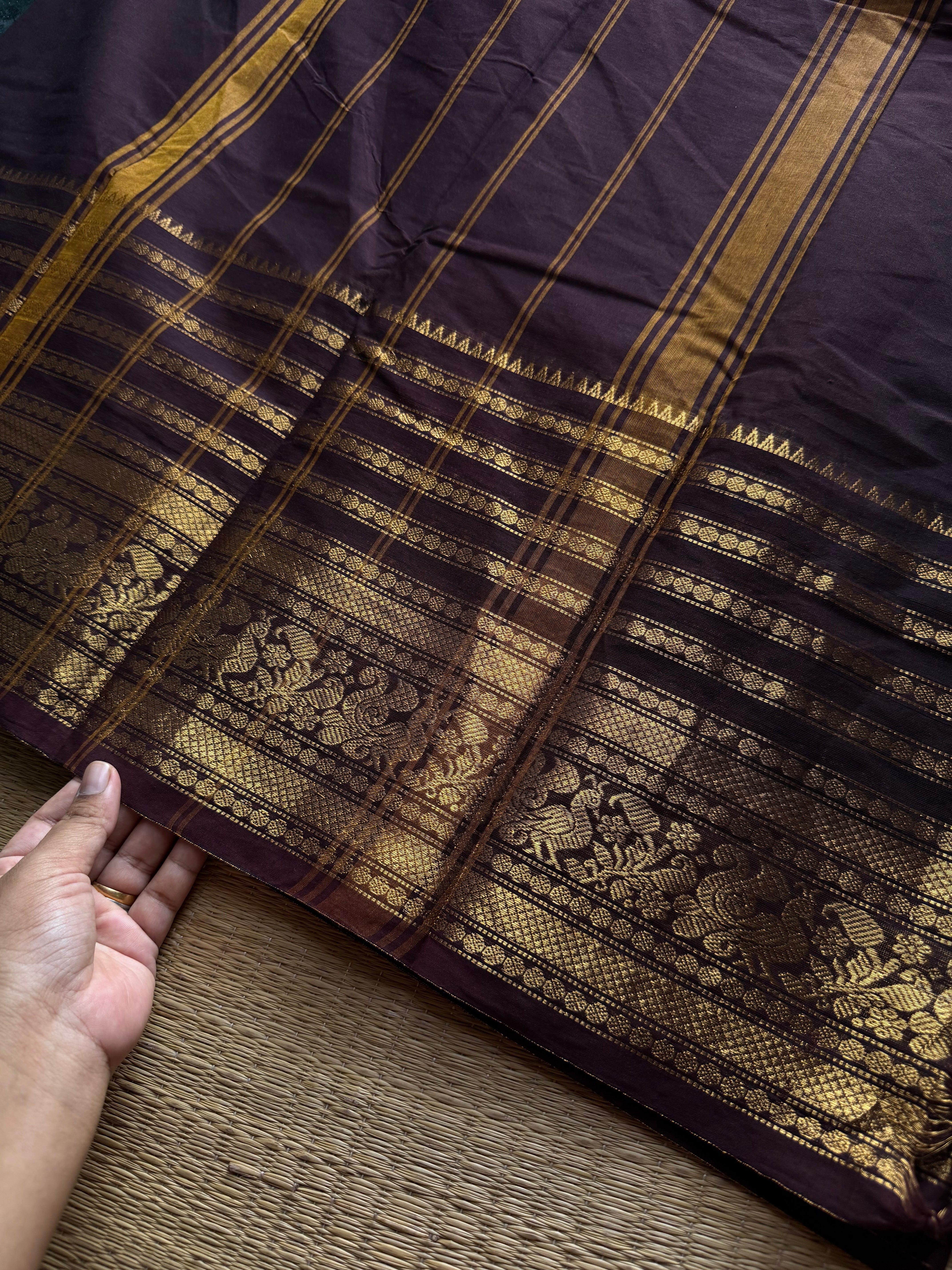 RF1414 Monotone deep coffee brown Varisaipet border Kanchi cotton saree