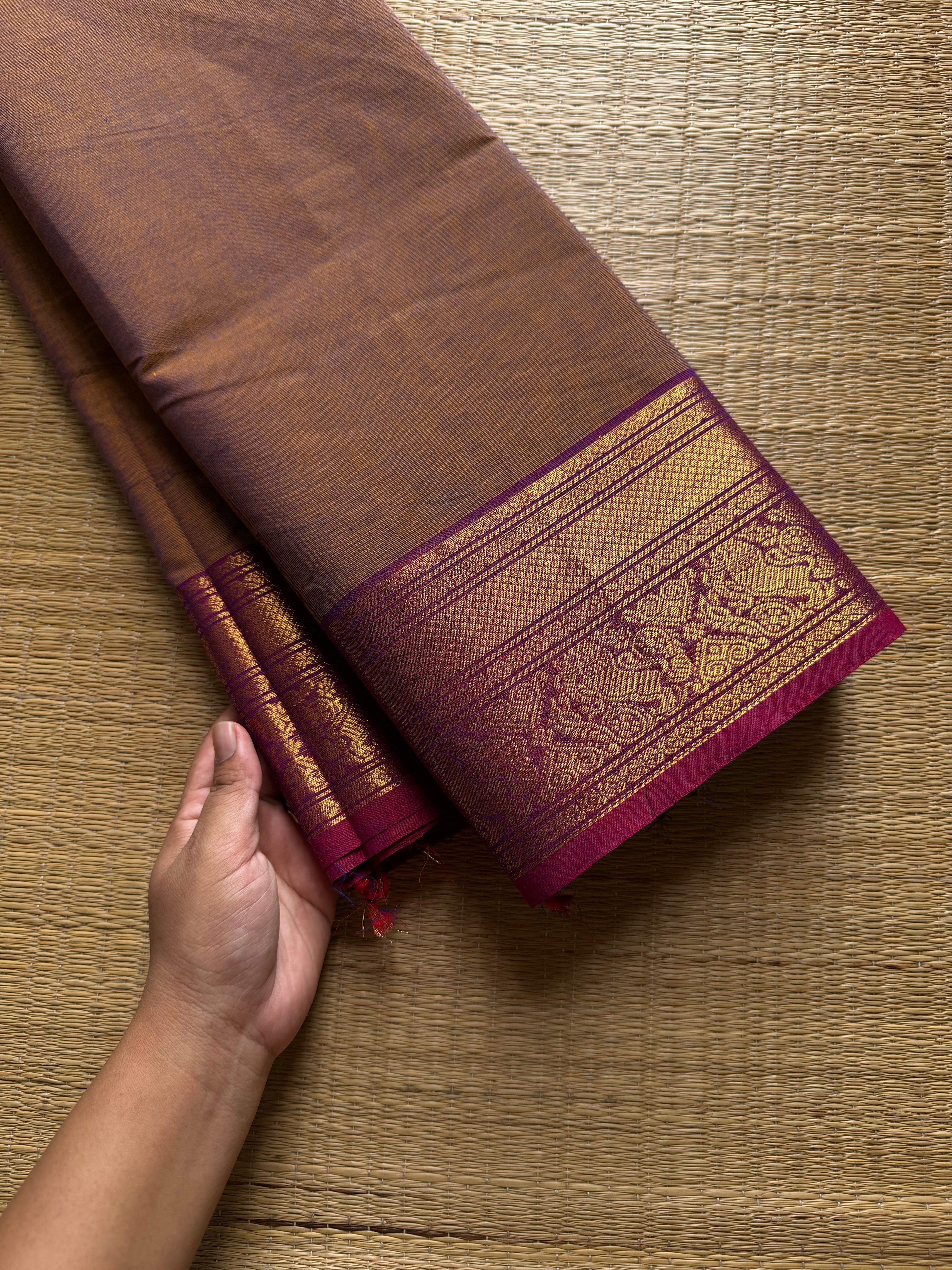 Dual shade Kanchi cotton saree ~ Silk Saree Inspired