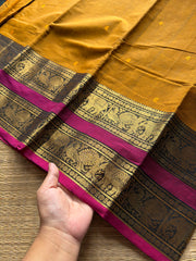 RF305 Mustard with contrast pink combination Rettapet border Kanchi cotton saree with handmade thread buttas