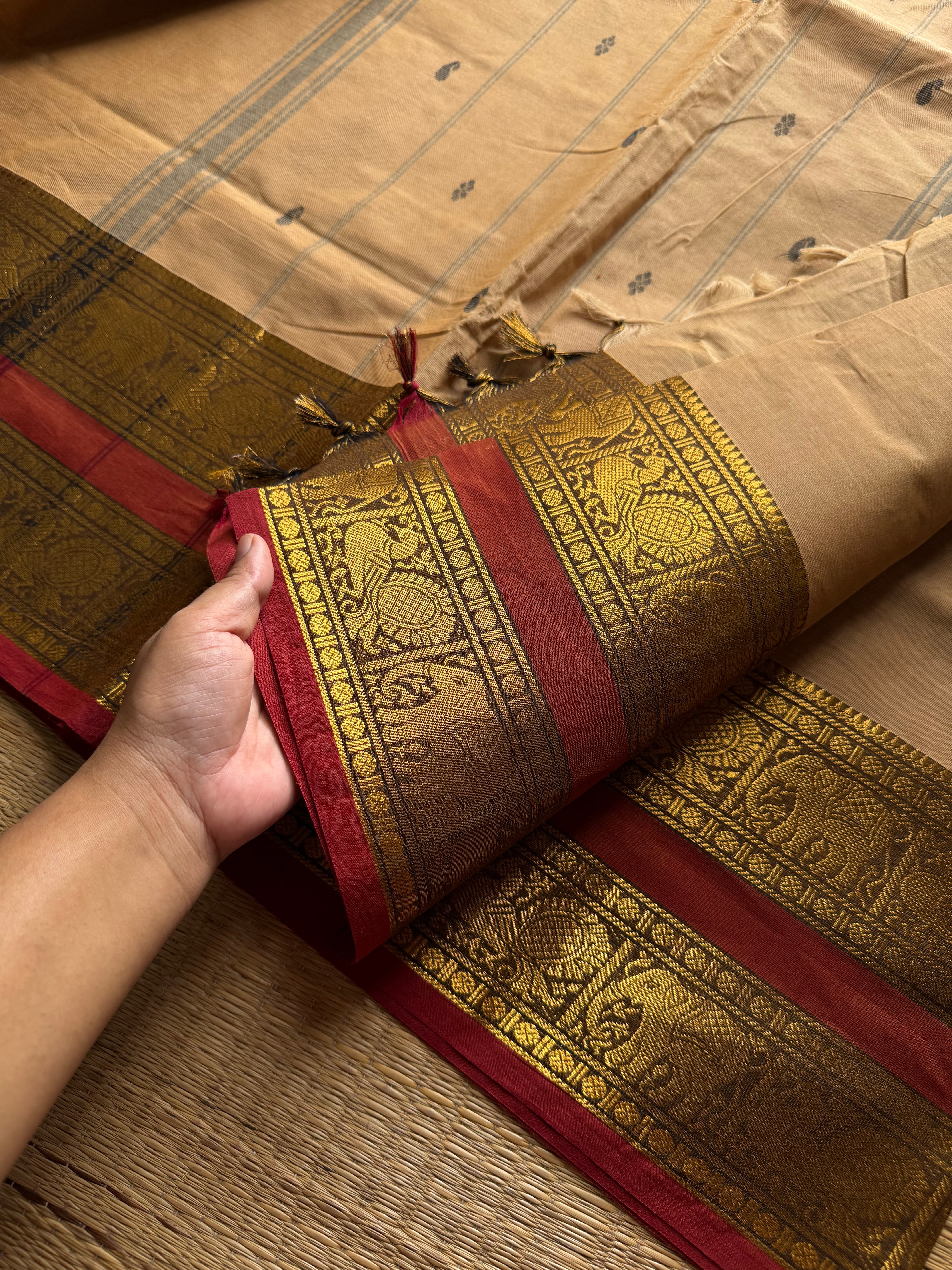 RF1330 Beige shade ~ Kanchi cotton Rettapet border saree